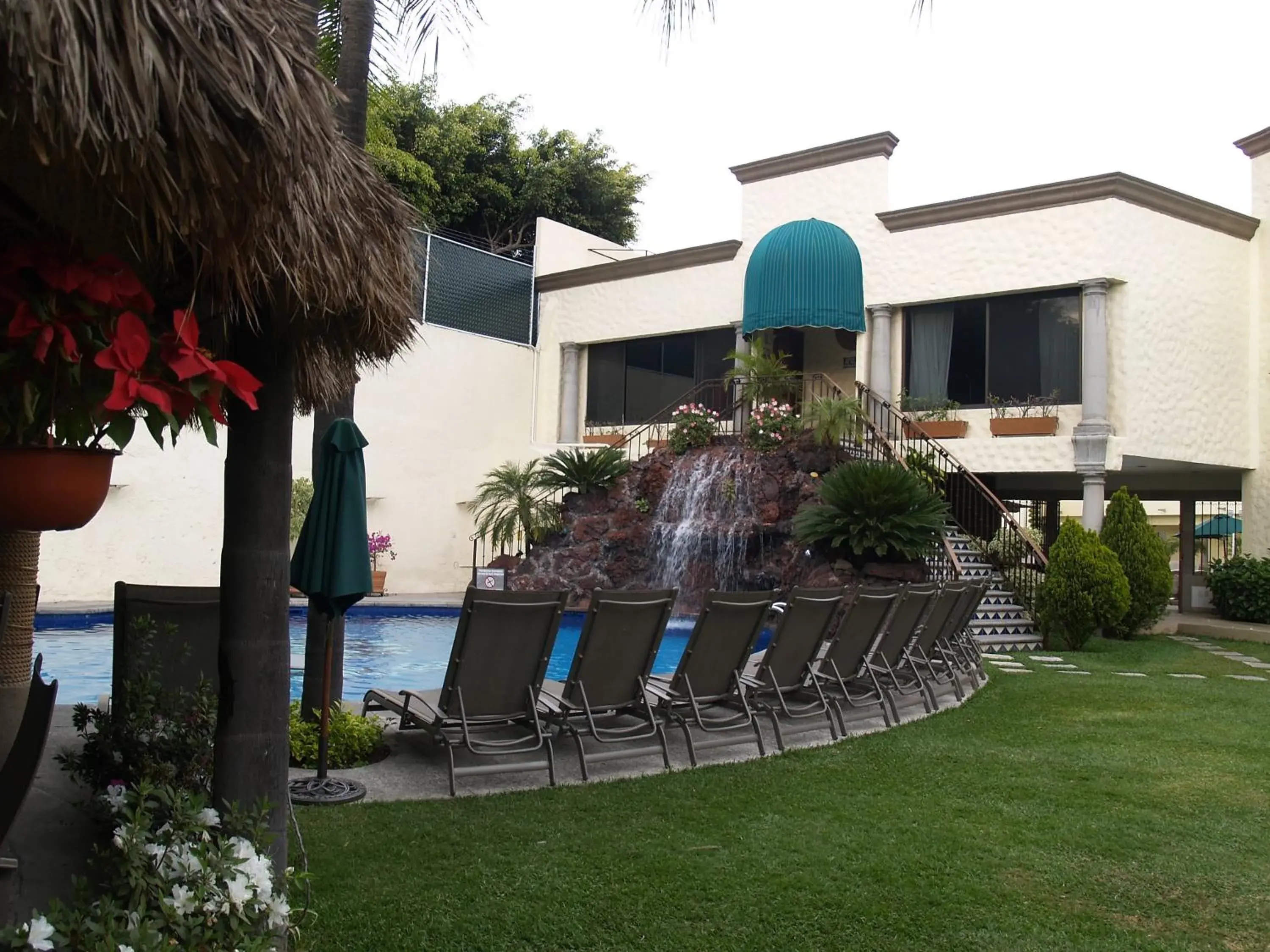 Garden, Property Building in Hotel Argento