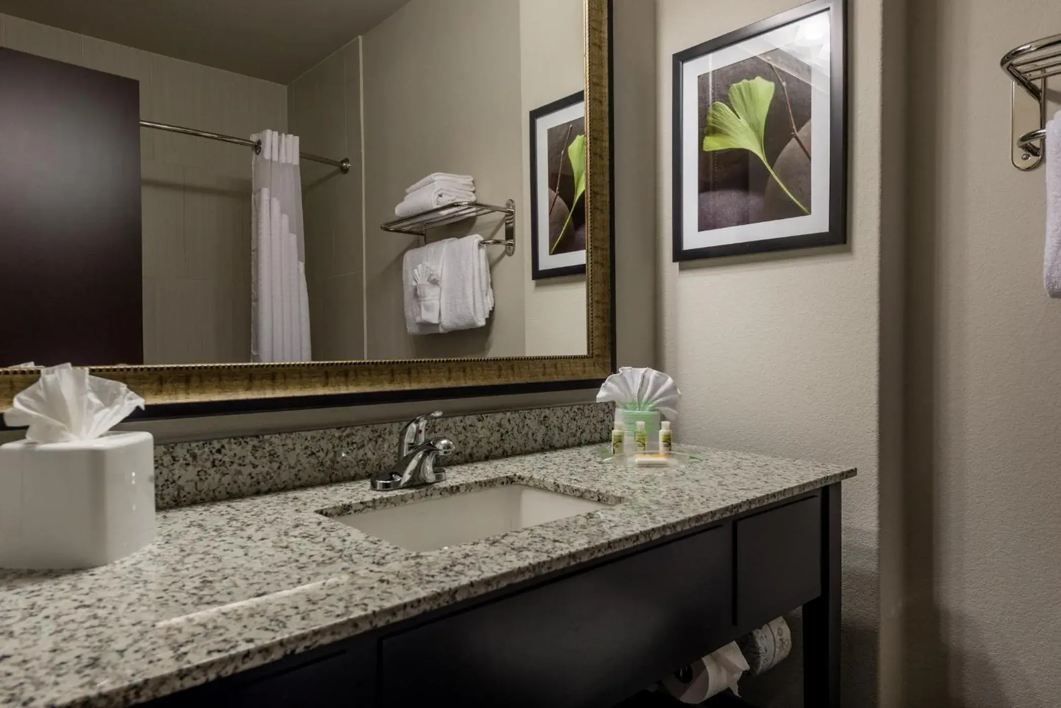 Bathroom in Holiday Inn Austin Airport, an IHG Hotel