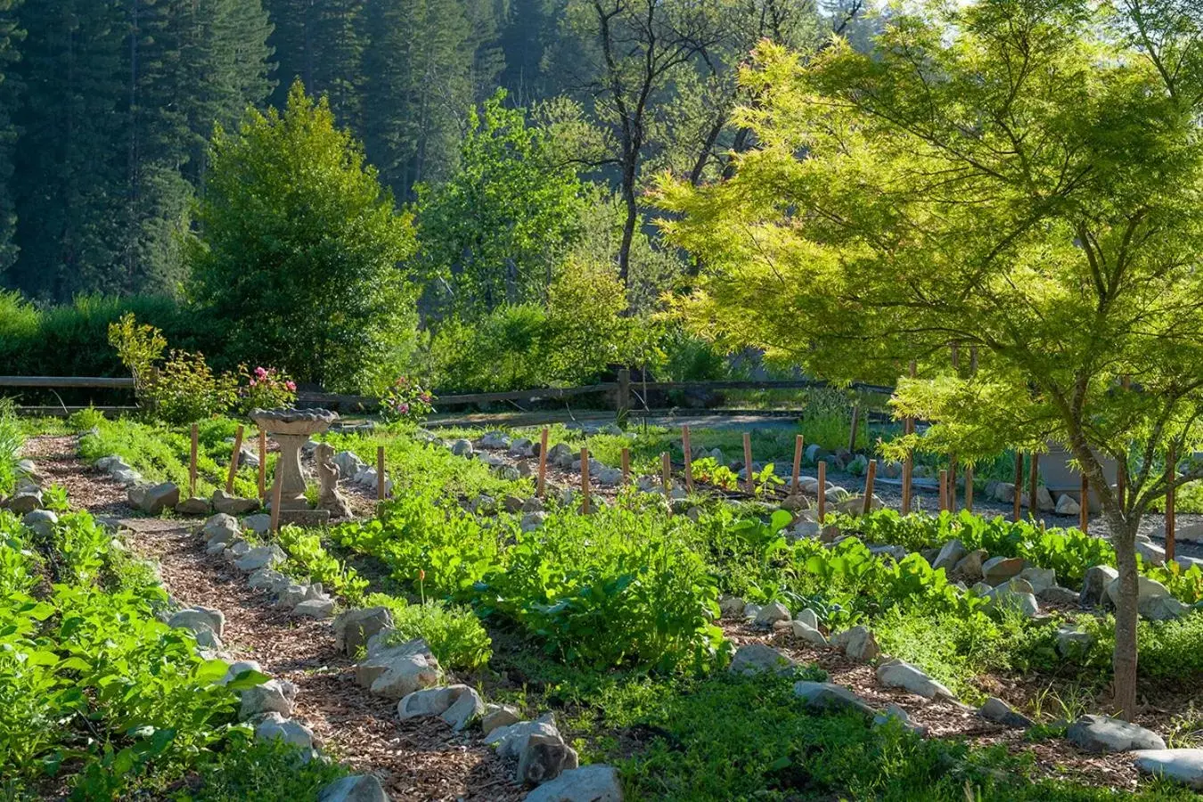 Garden in Benbow Historic Inn