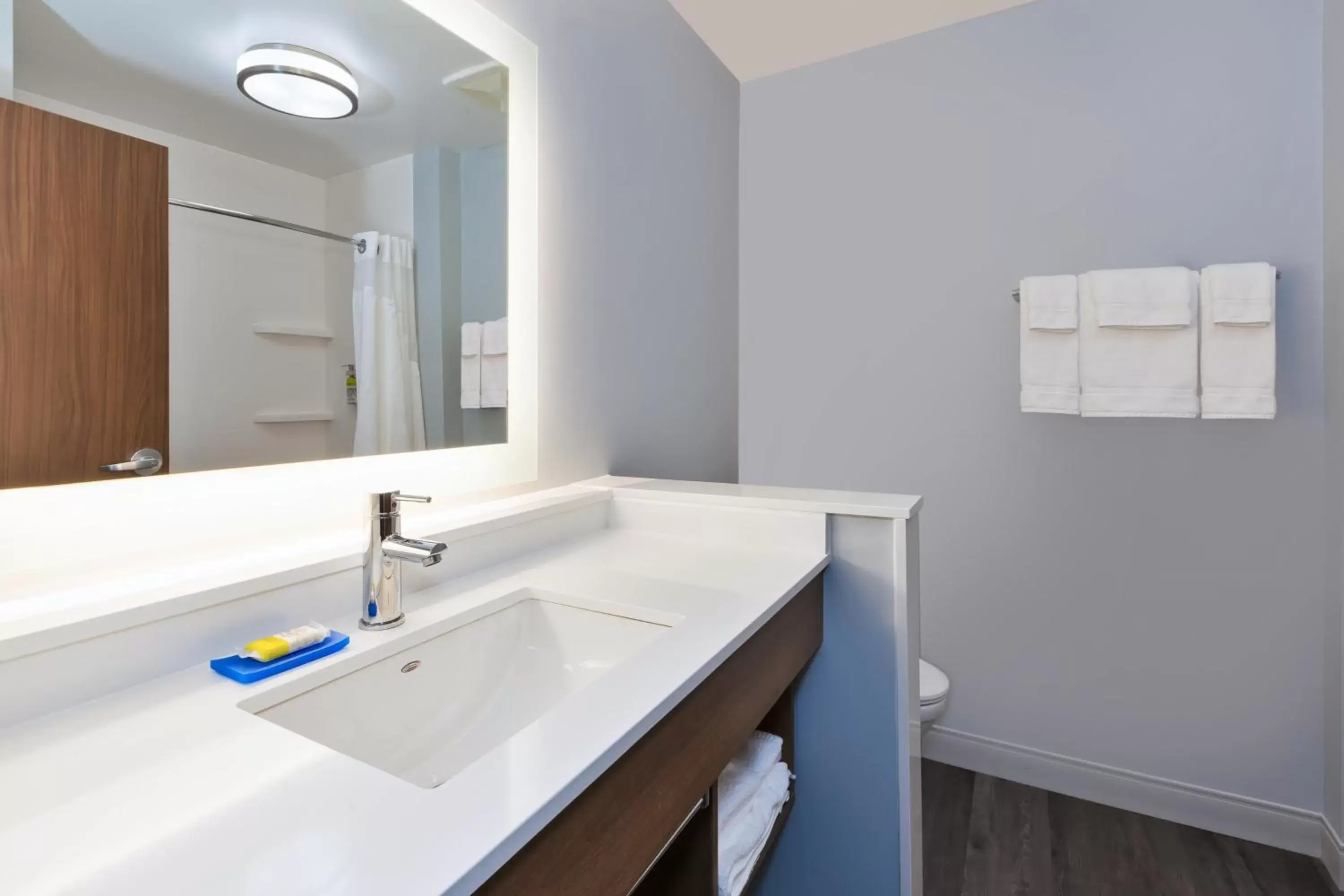 Bathroom in Holiday Inn Express & Suites - Cedar Springs - Grand Rapids N, an IHG Hotel