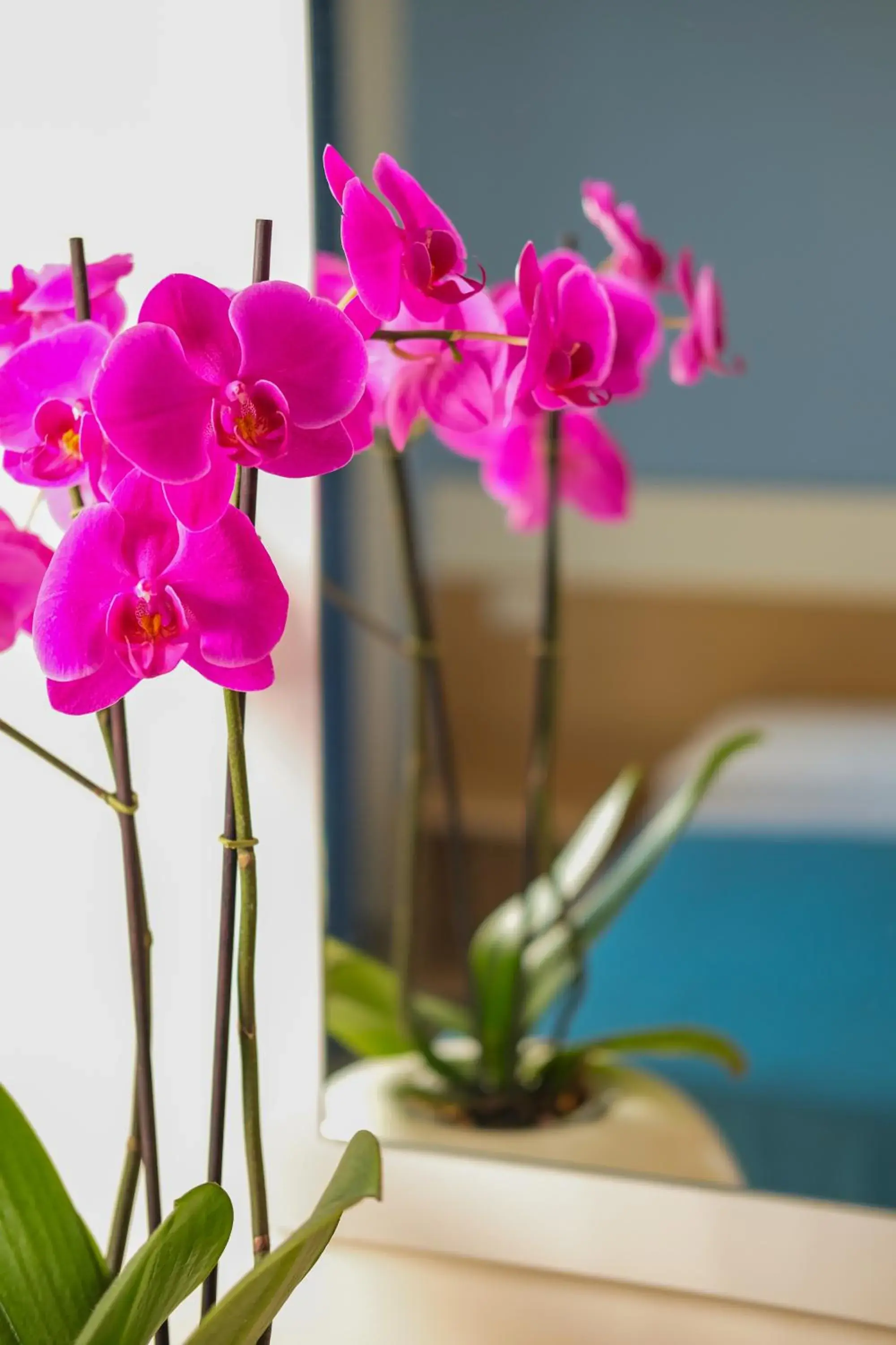 Bedroom, Bed in Ticho's Greenblu Hotel Bedroom, Bed in Ticho's Greenblu Hotel