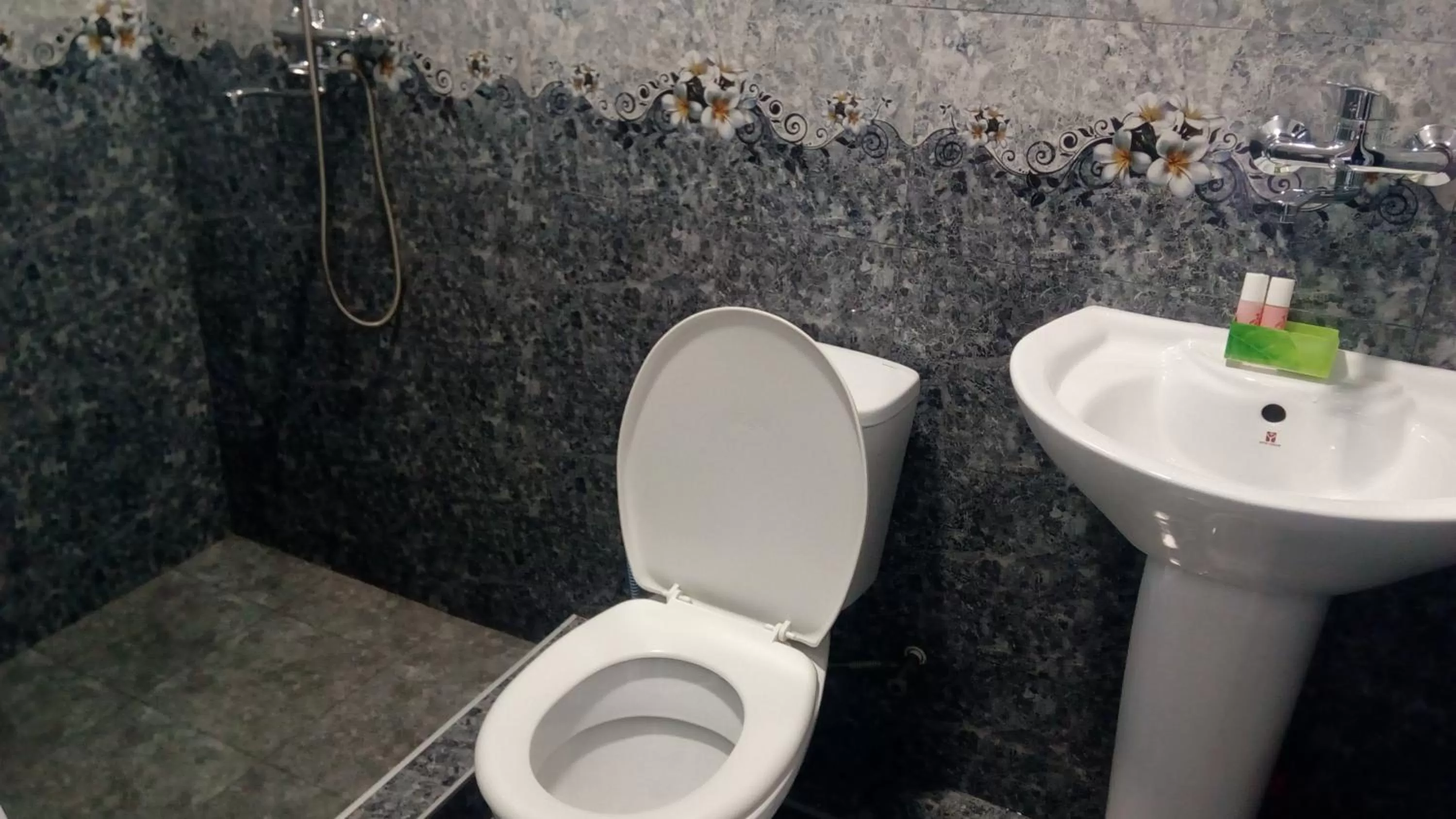 Shower in Hotel Isani