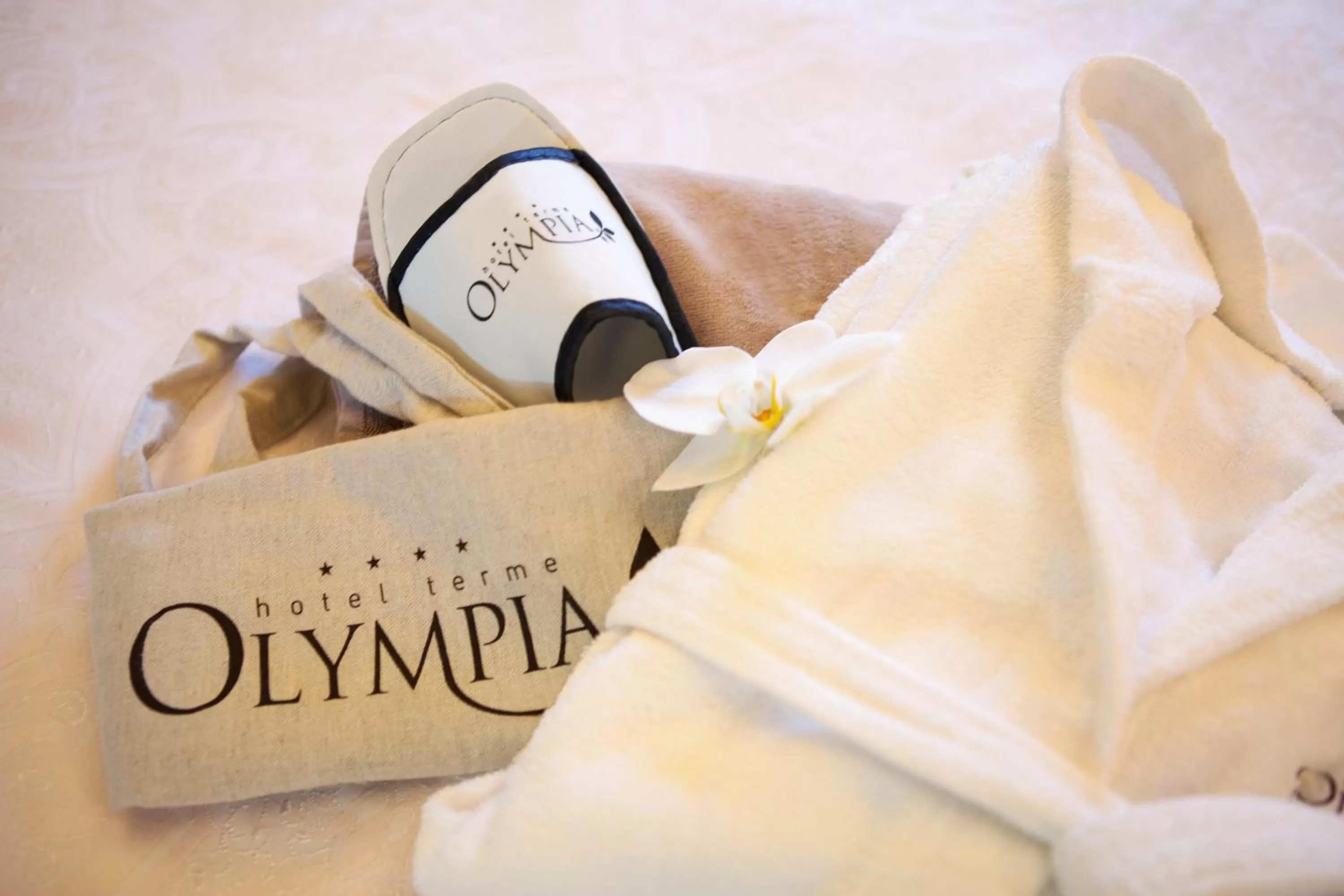 Decorative detail in Hotel Terme Olympia