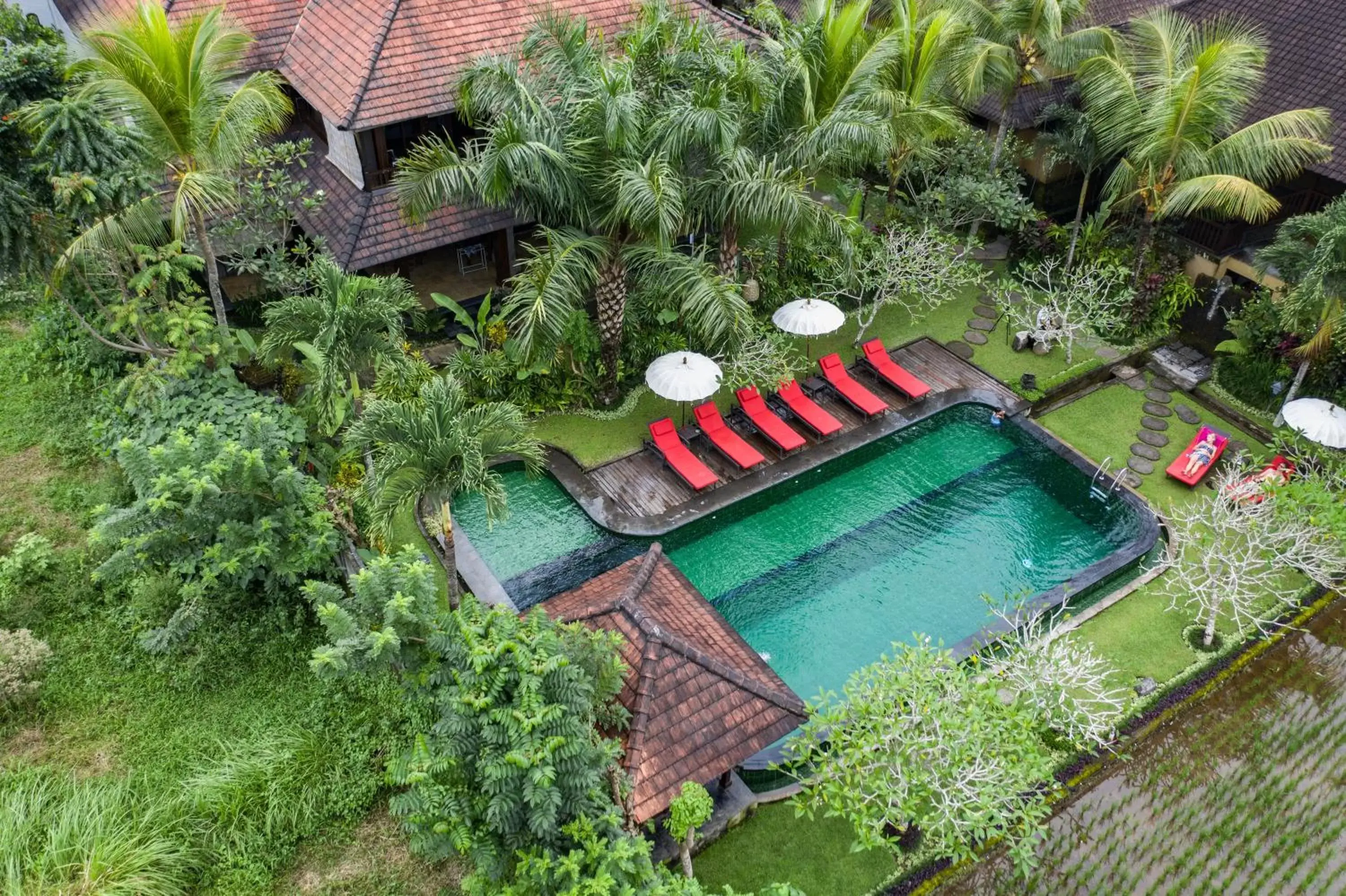 View (from property/room), Bird's-eye View in Bliss Ubud Spa Resort