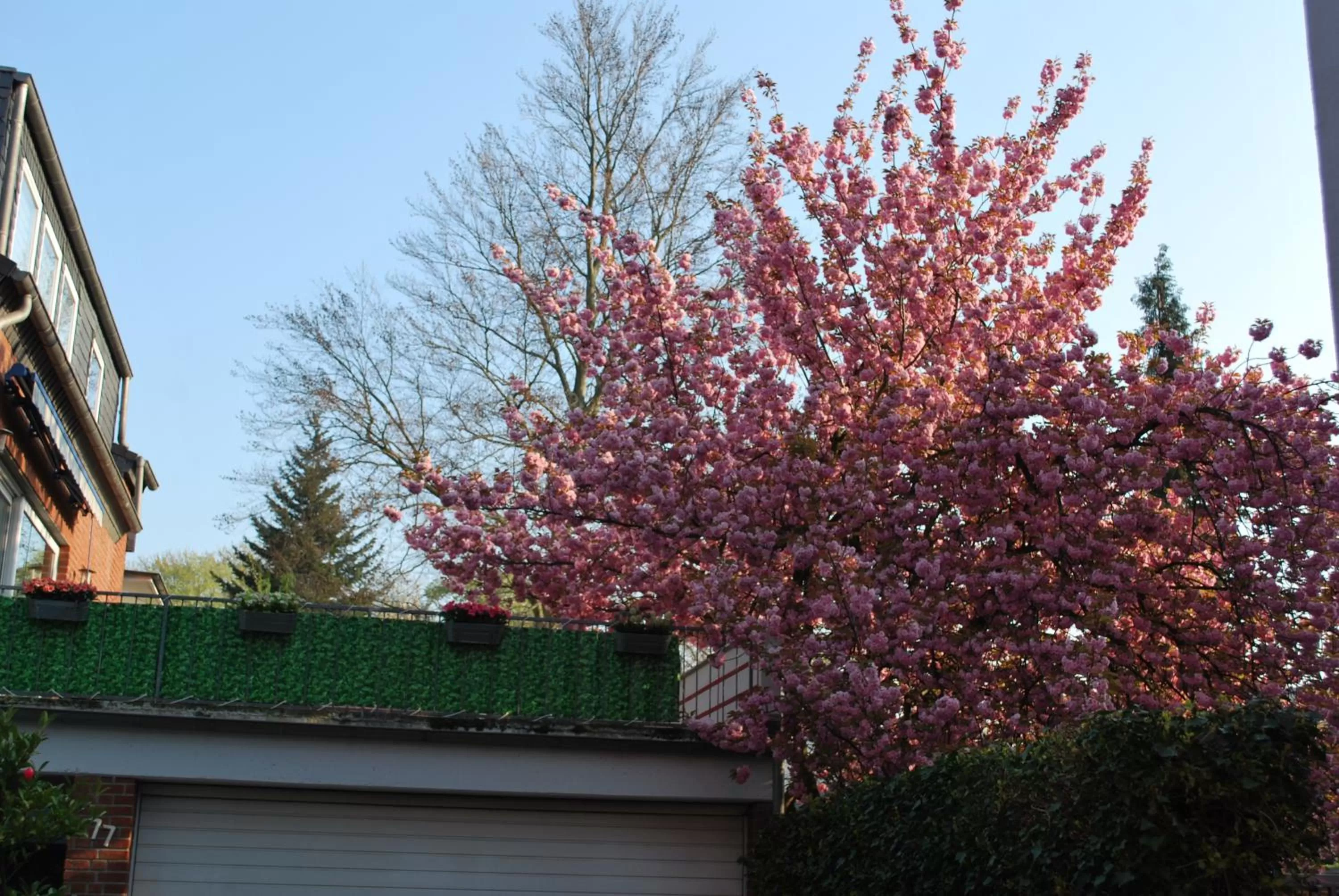 Garden in Hotel Am Sportpark