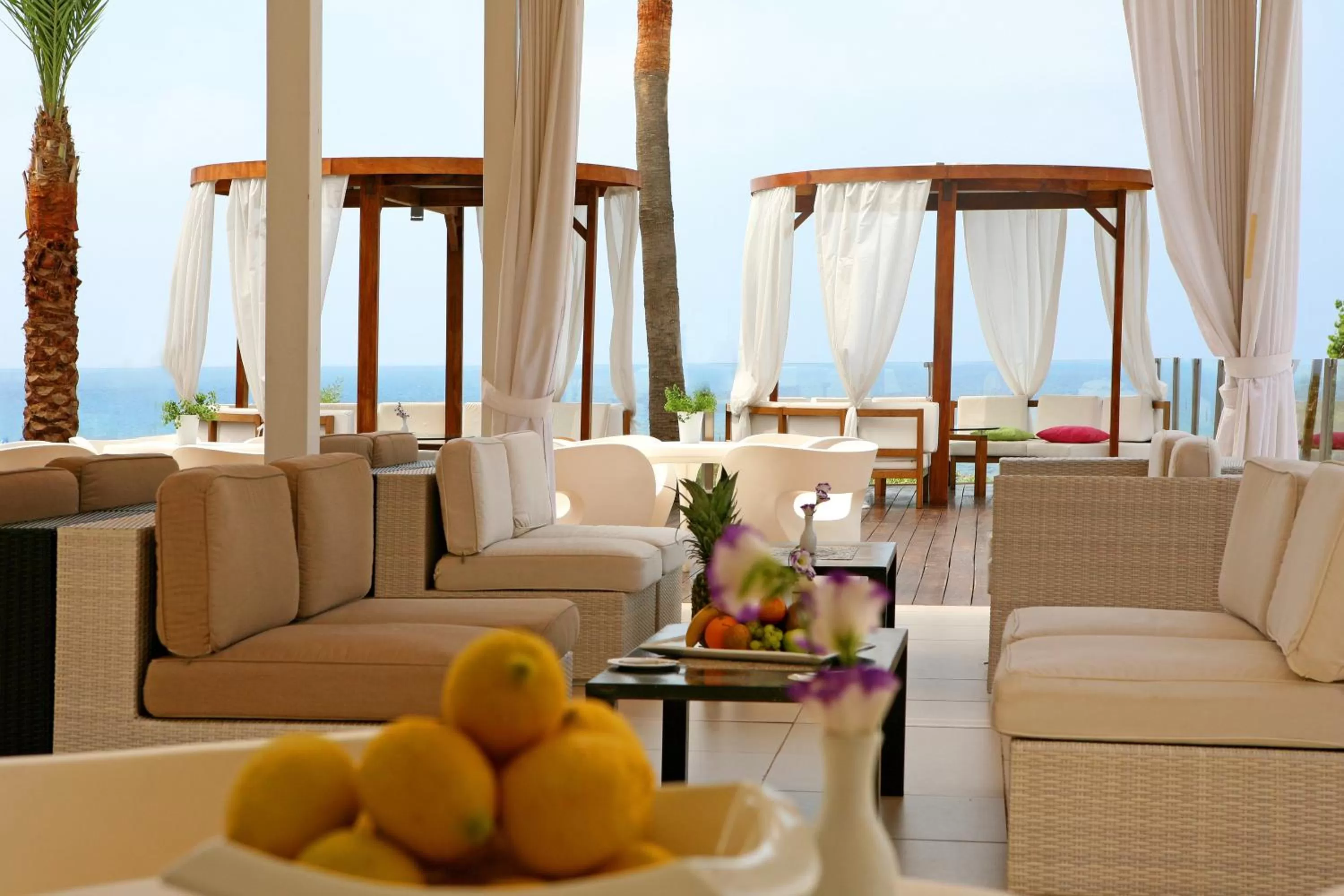 Lounge or bar in Napa Mermaid Hotel & Suites