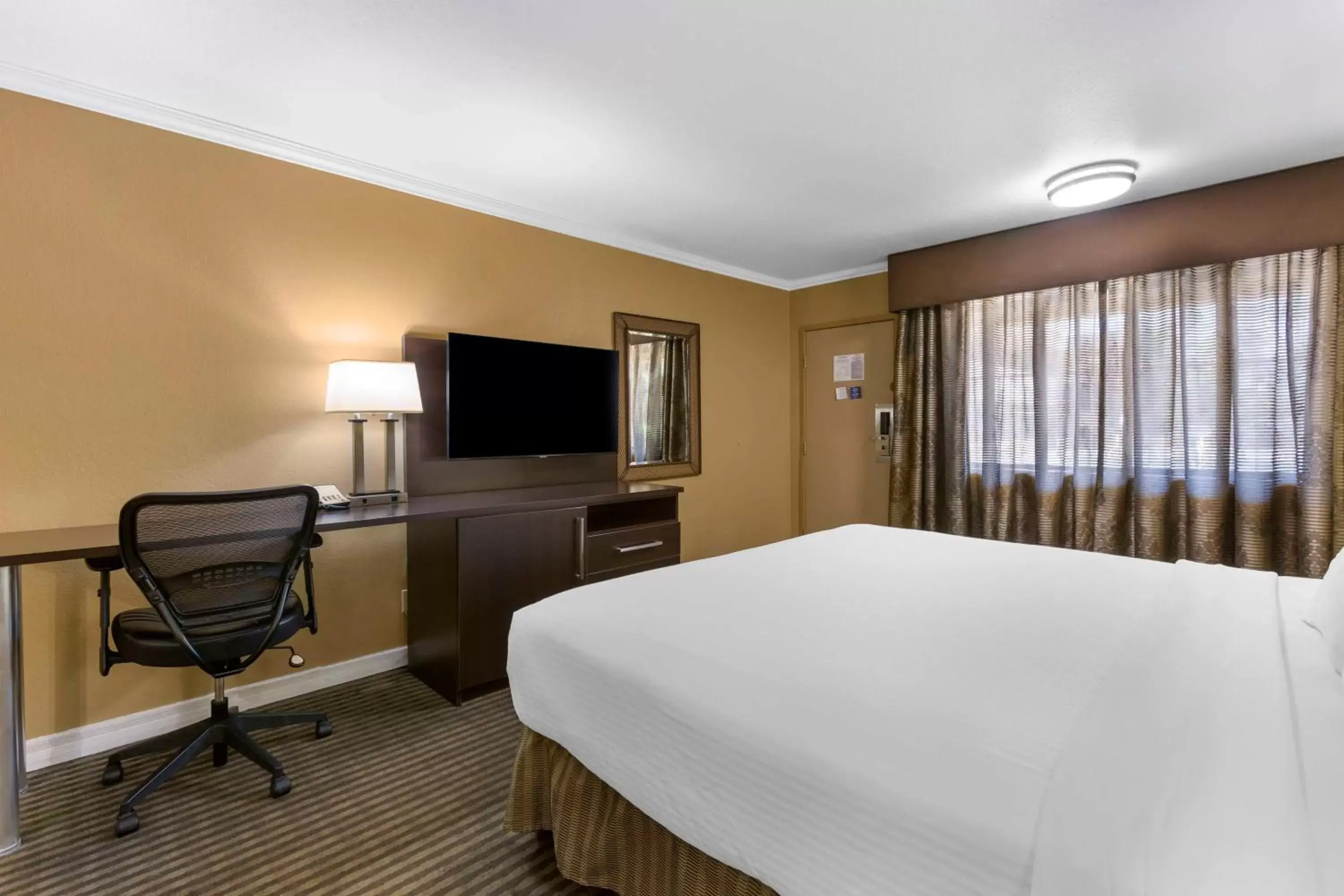 Bedroom, TV/Entertainment Center in Best Western Royal Sun Inn & Suites