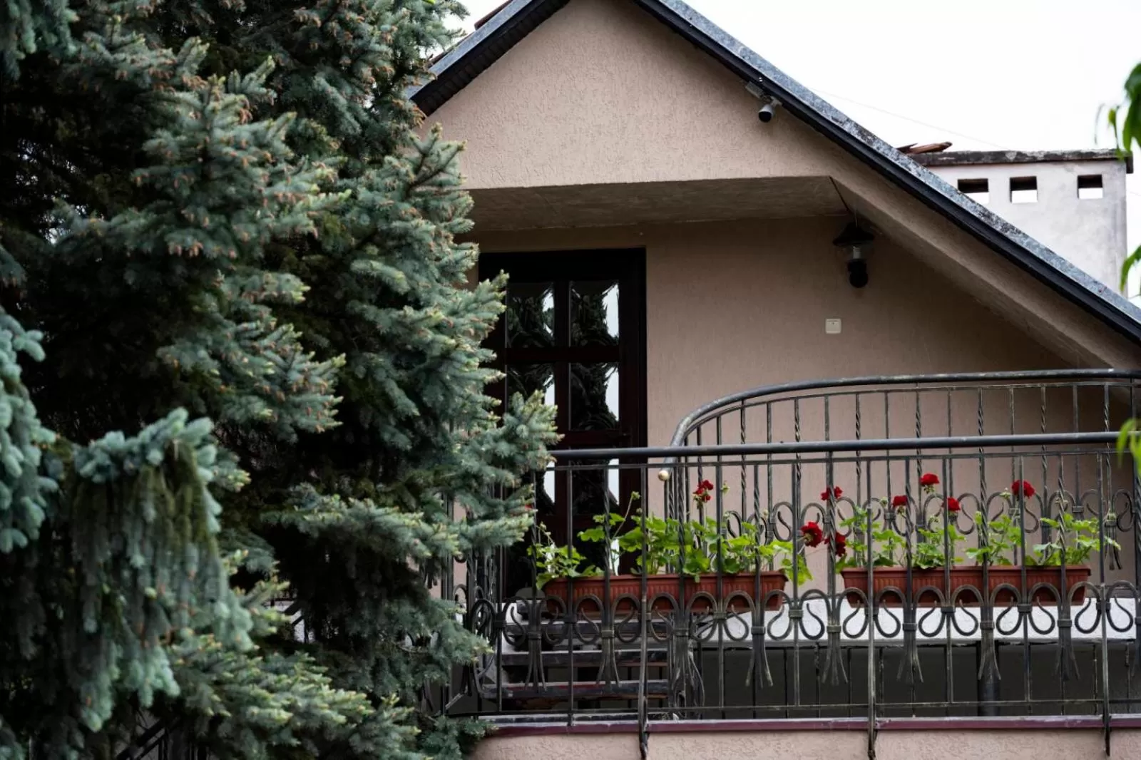 Balcony/Terrace in Eduard Hotel
