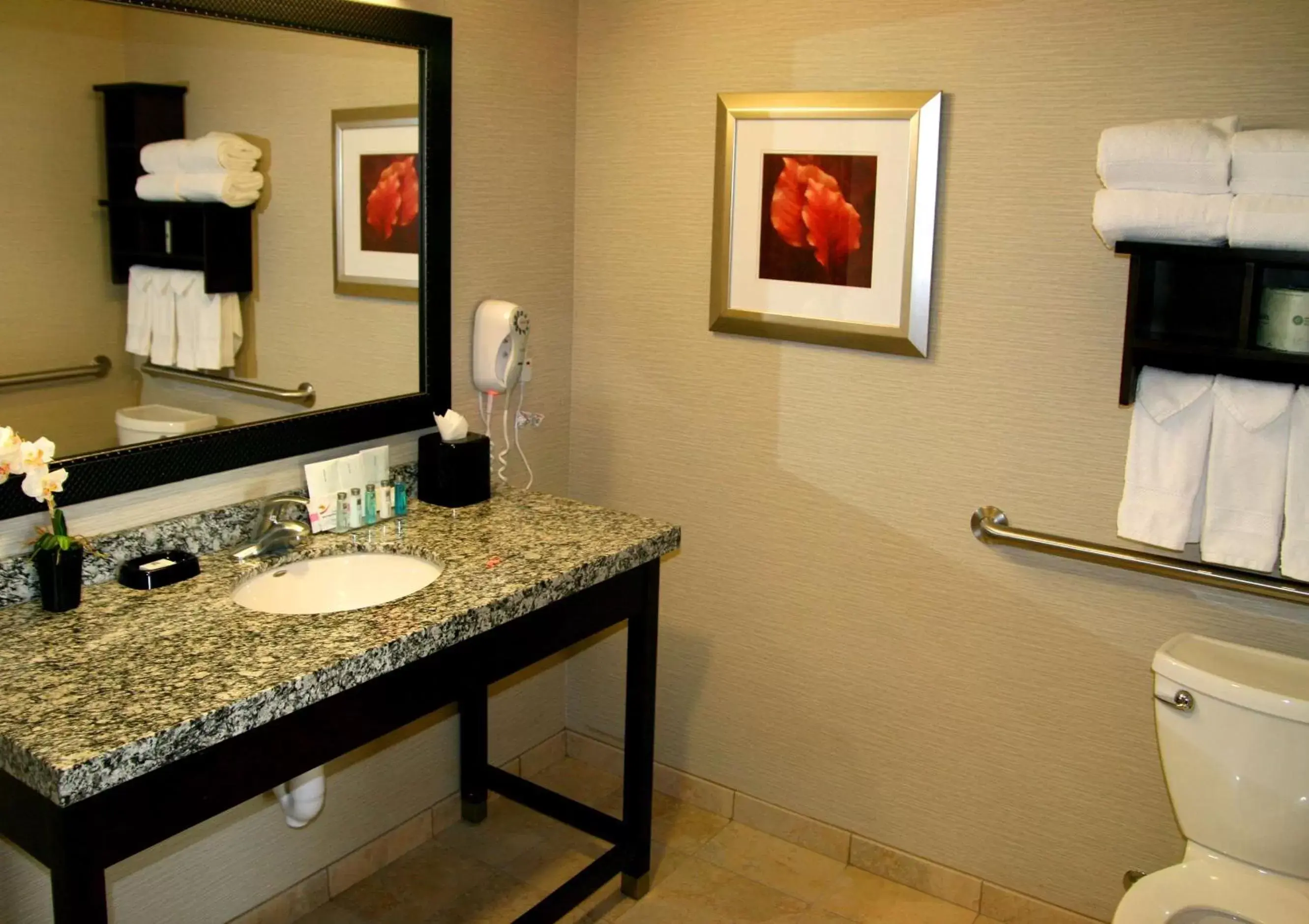 Bathroom in Hampton Inn & Suites Salt Lake City-University/Foothill Drive