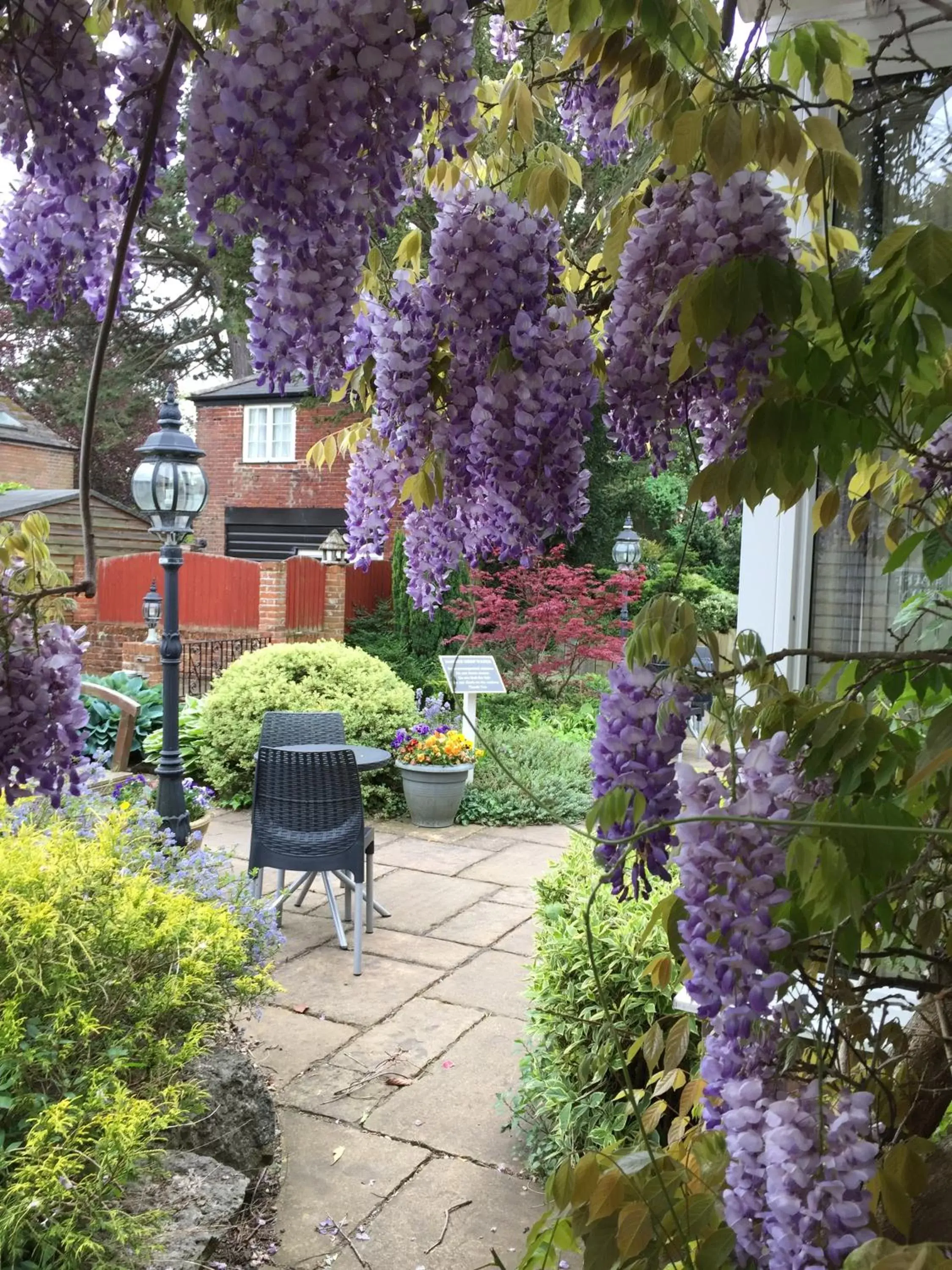 Garden in Best Western Annesley House Hotel