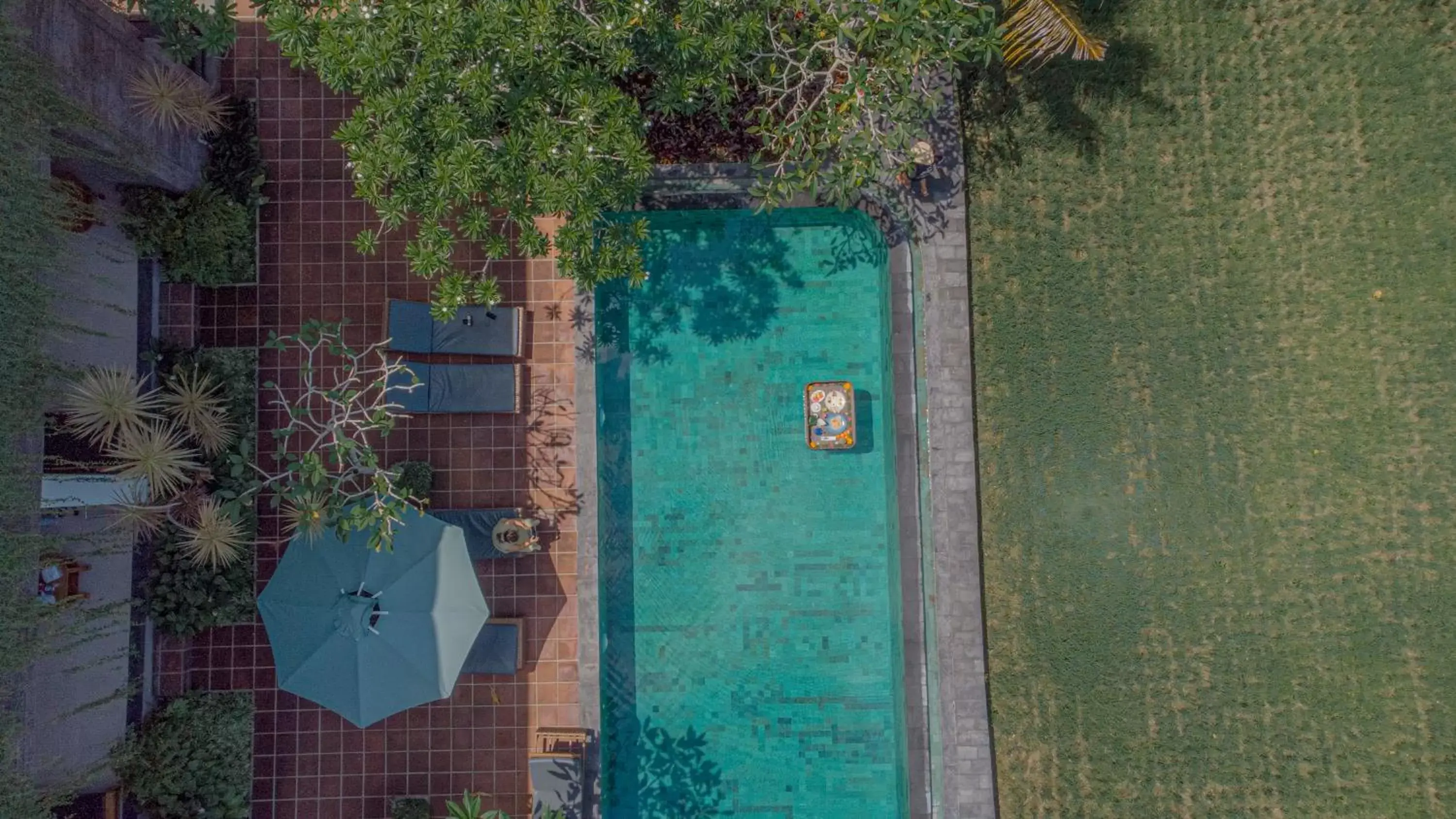 Natural landscape, Pool View in Artini Bisma Ubud Hotel