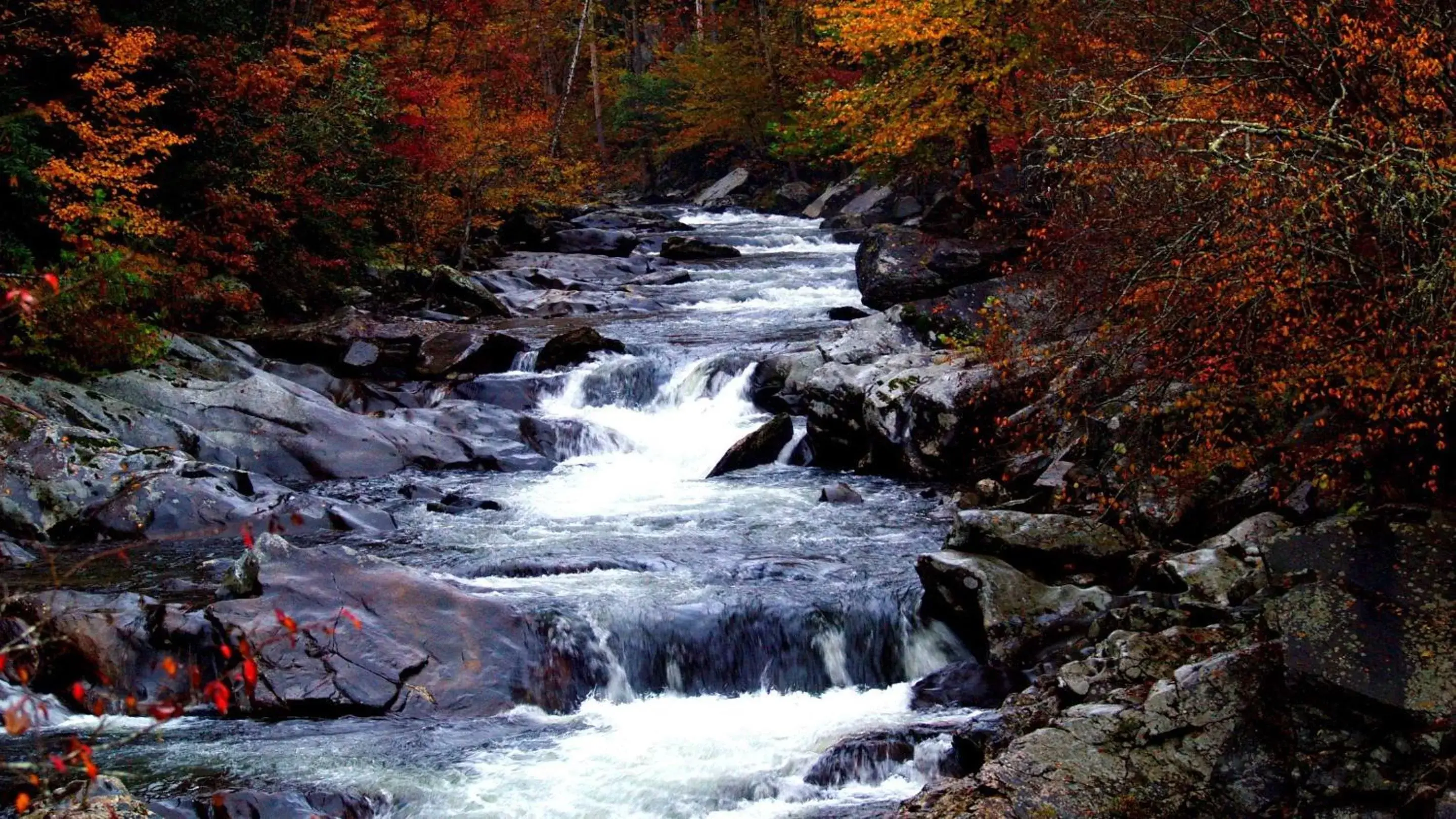 Nearby landmark, Natural Landscape in Inn of Loudon