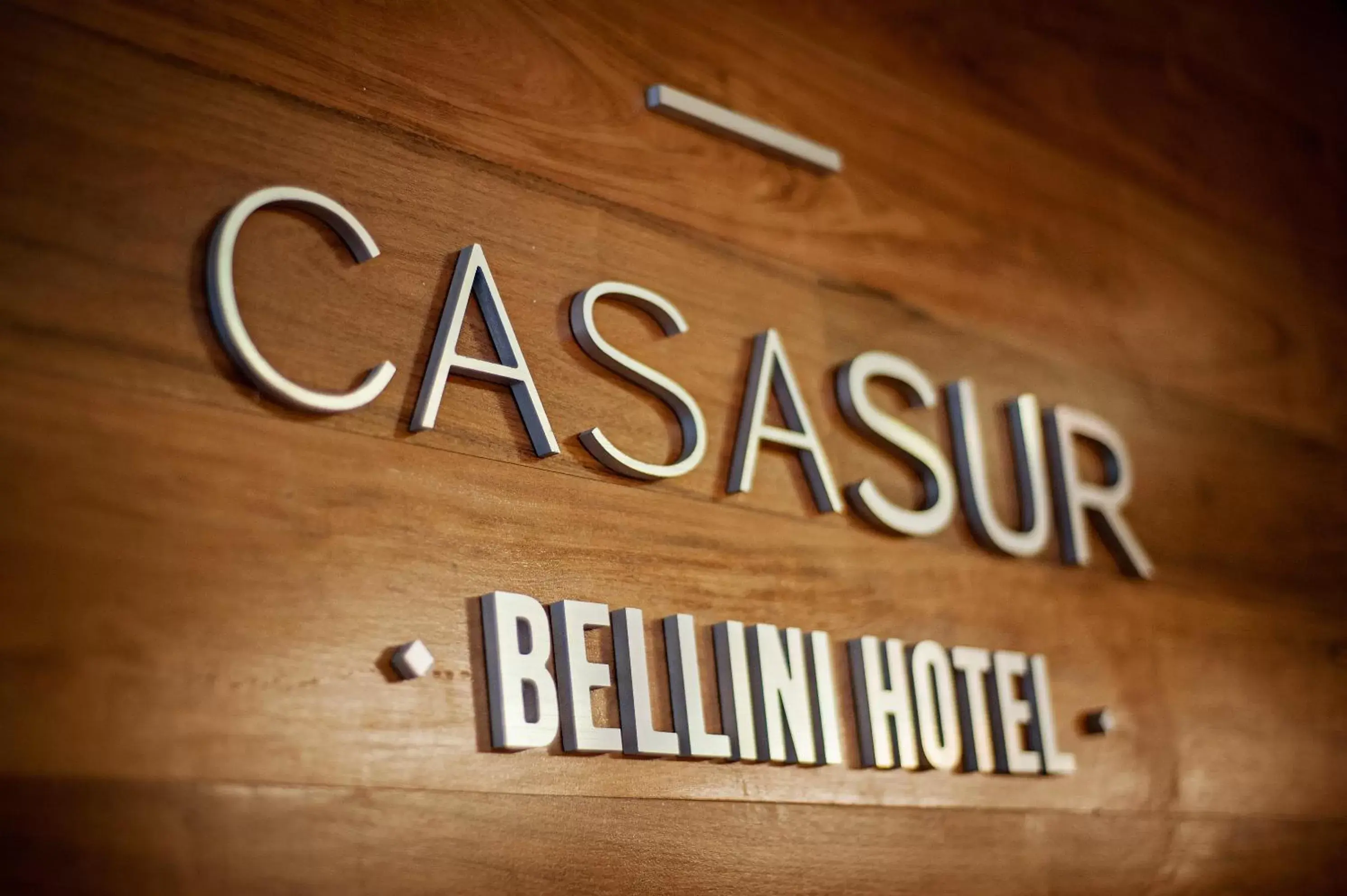 Property logo or sign in Casasur Bellini Hotel