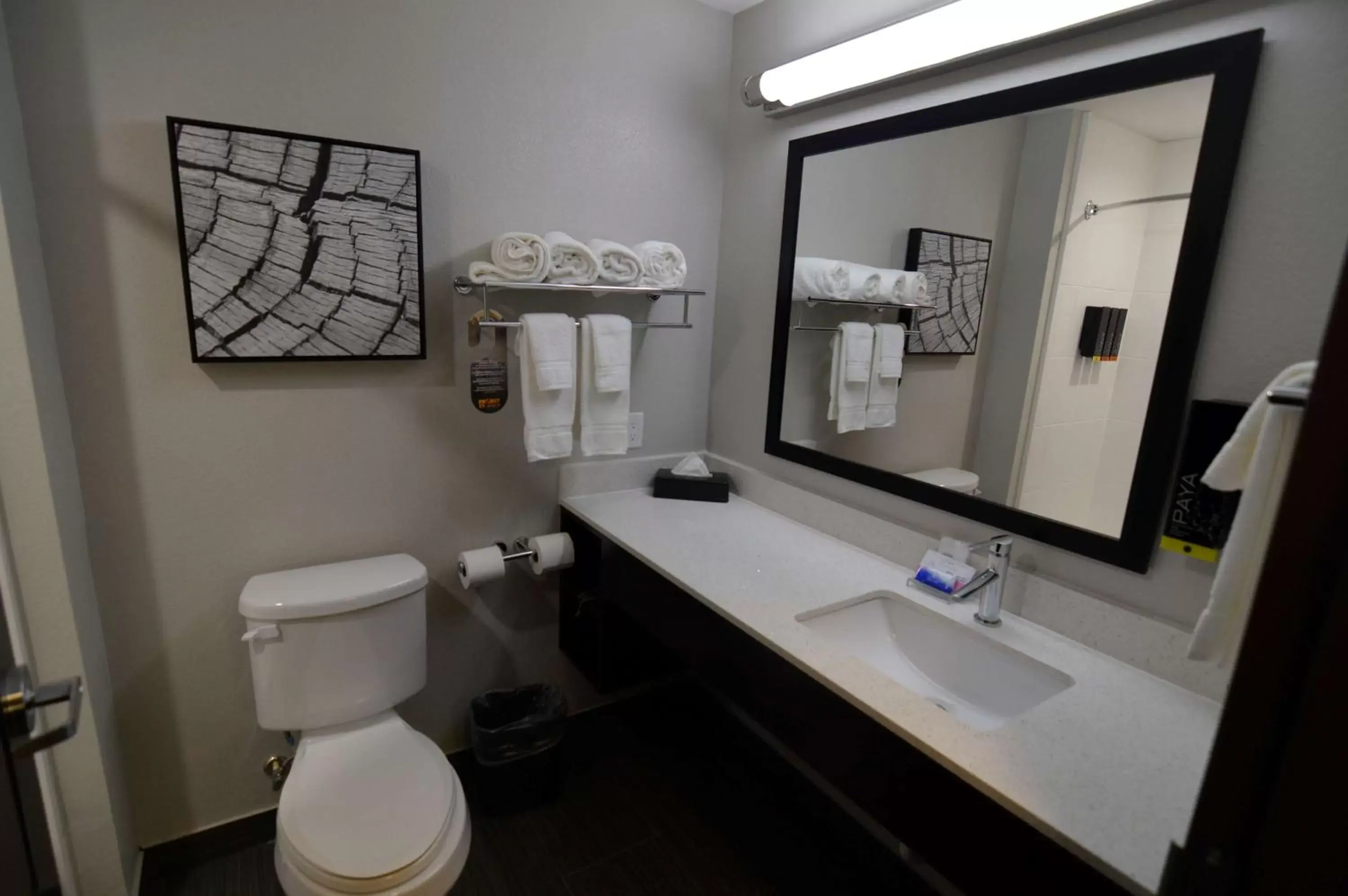 Bathroom in Best Western Plus Bay City Inn & Suites