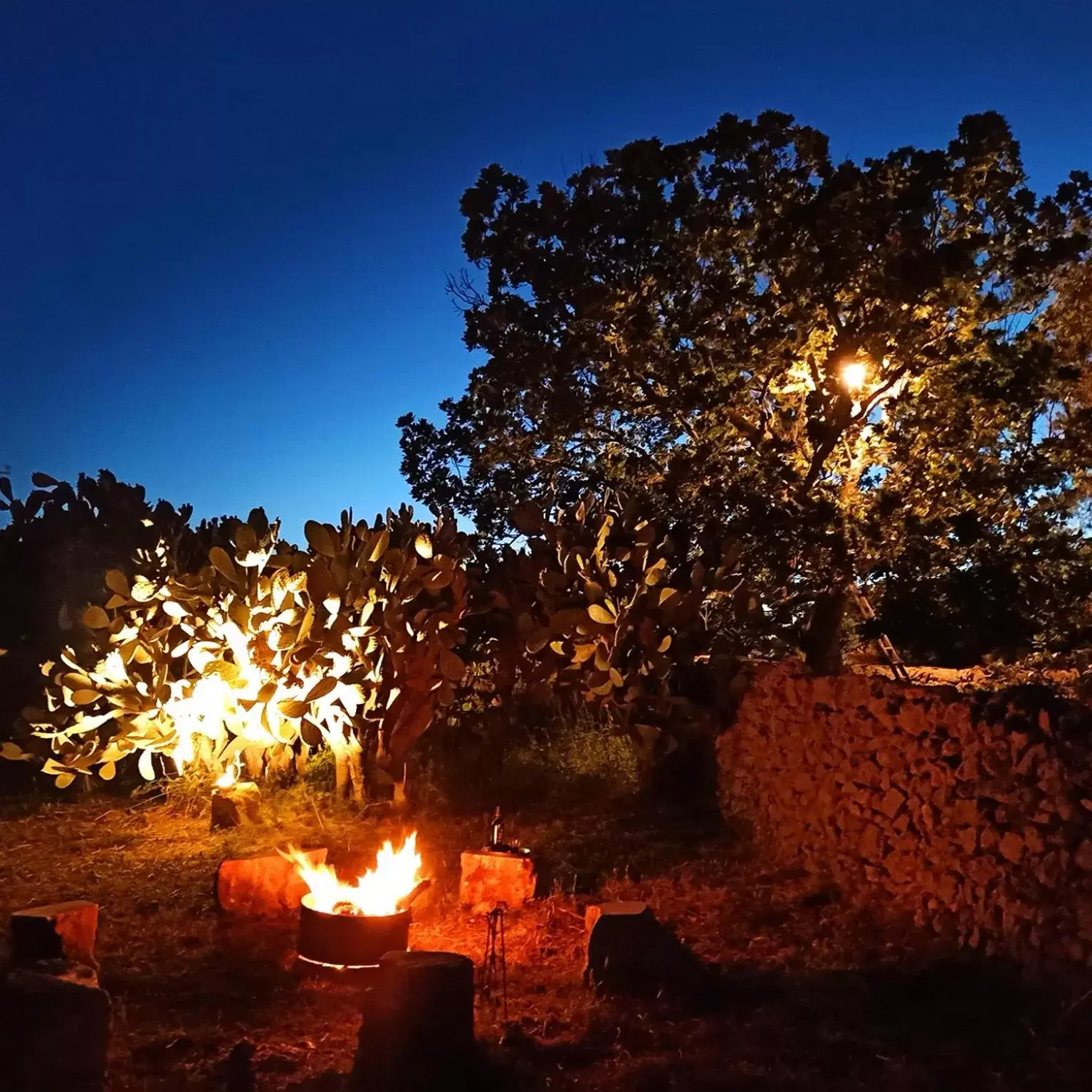 Natural landscape in Masseria LoJazzo