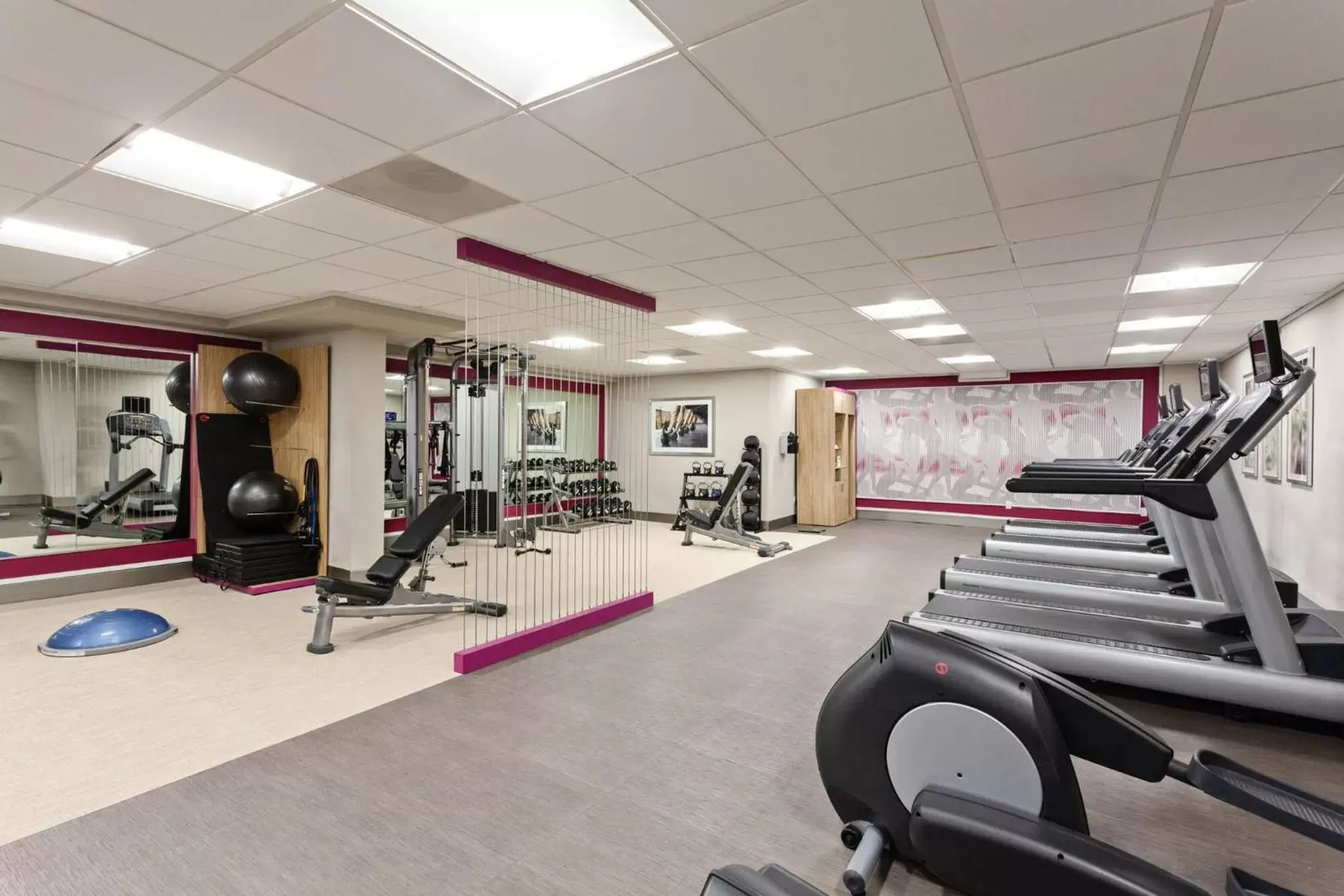 Fitness centre/facilities, Fitness Center/Facilities in Crowne Plaza Silicon Valley North - Union City, an IHG Hotel