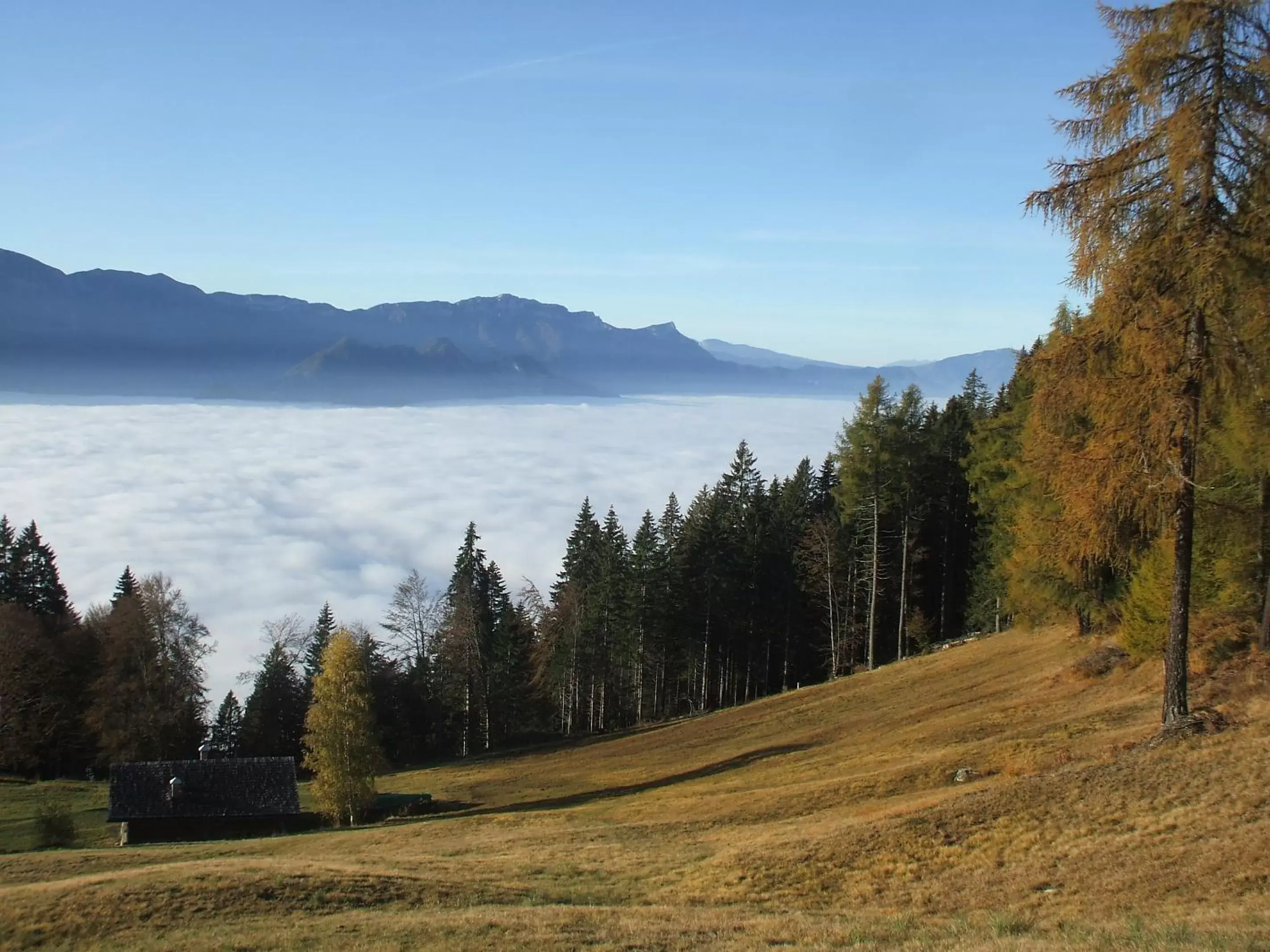 Natural landscape in Locanda La Ruscoletta