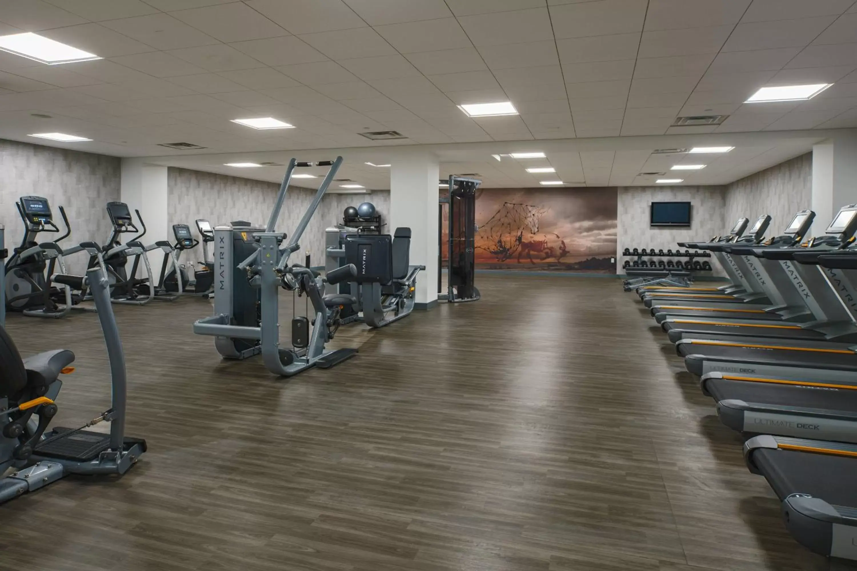 Fitness centre/facilities, Fitness Center/Facilities in Renaissance Dallas Addison