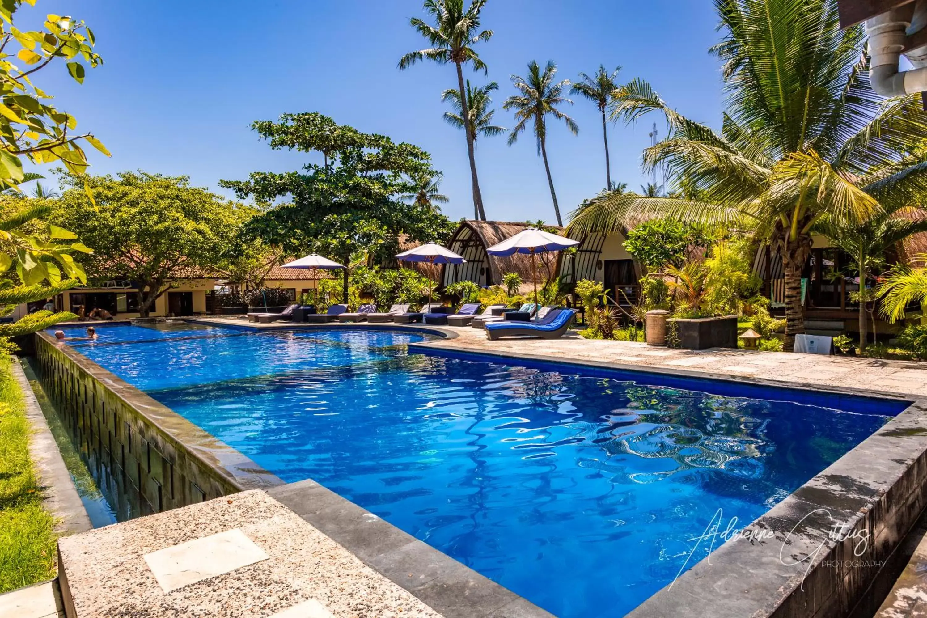 Swimming pool in Oceans 5 Dive Resort