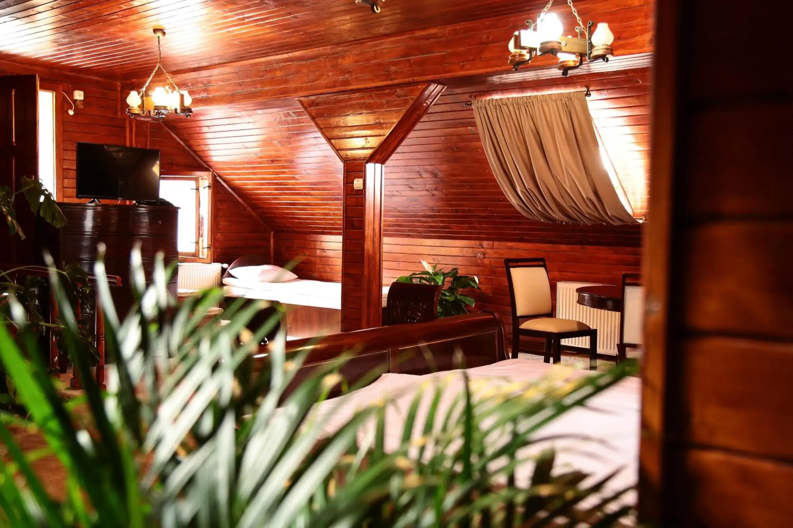 Photo of the whole room in Hotel Apollonia Photo of the whole room in Hotel Apollonia