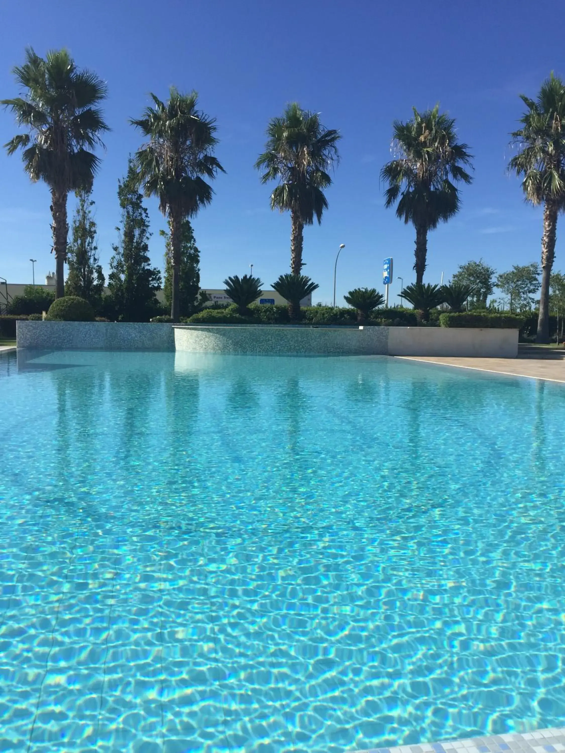 Swimming Pool in Hotel Altamira