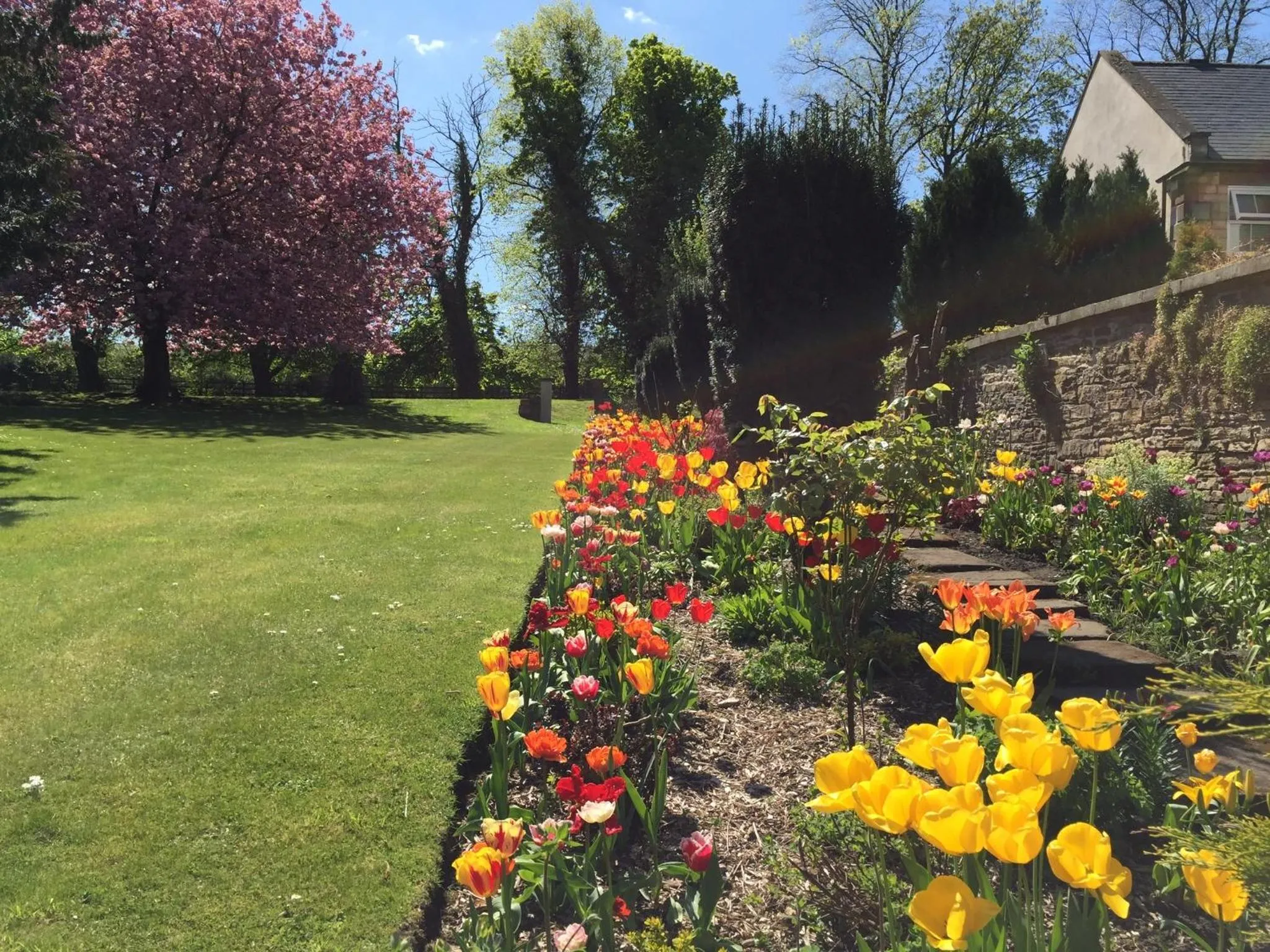 Garden in Hedgefield House