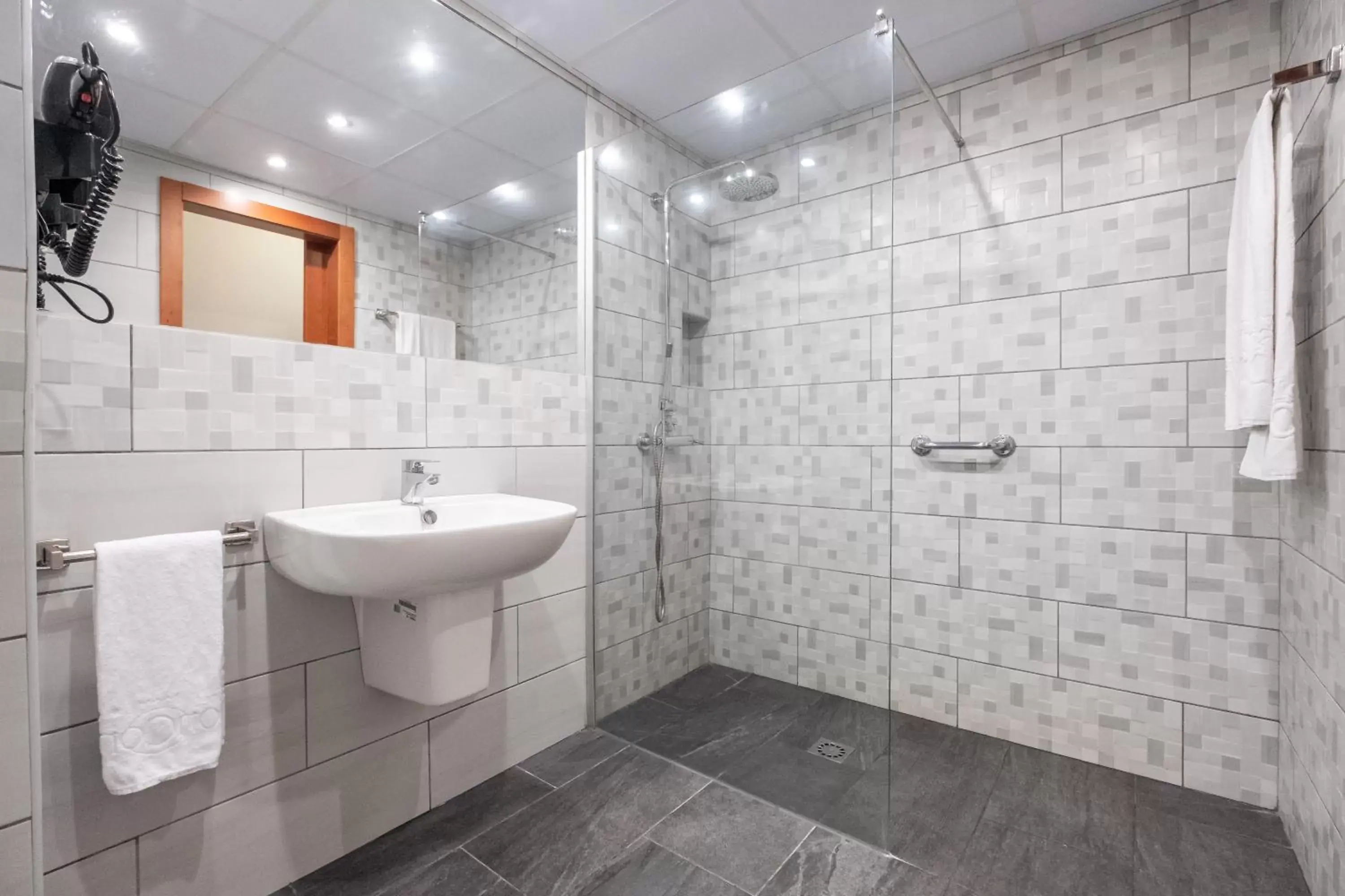 Shower, Bathroom in Hotel Concorde