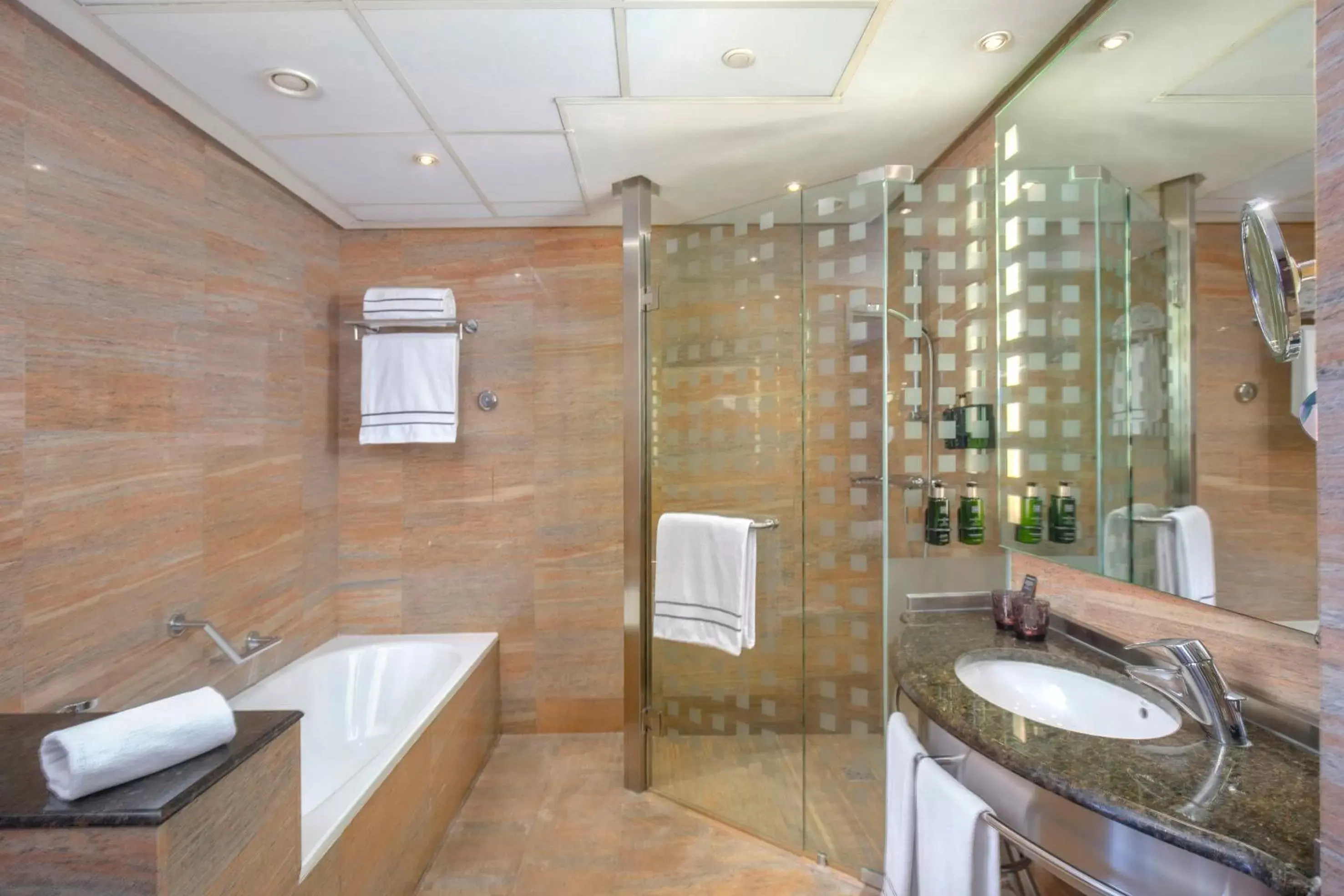 Shower, Bathroom in Melia Valencia