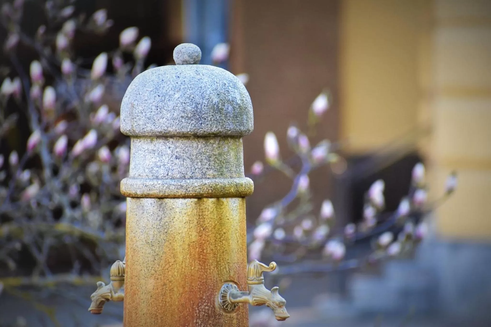 Off site in Schlosshotel Marienbad