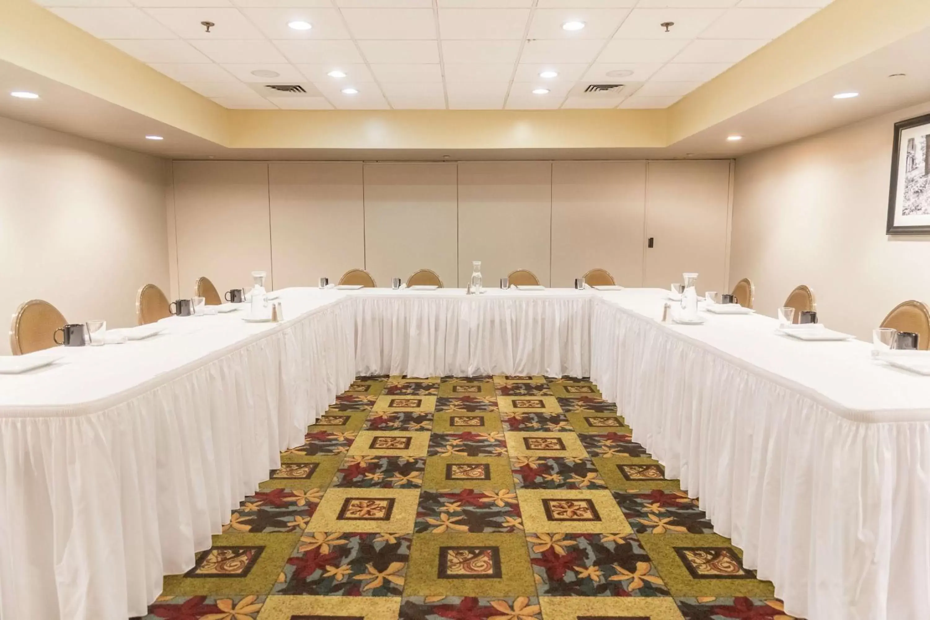 Meeting/conference room in DoubleTree by Hilton Holland