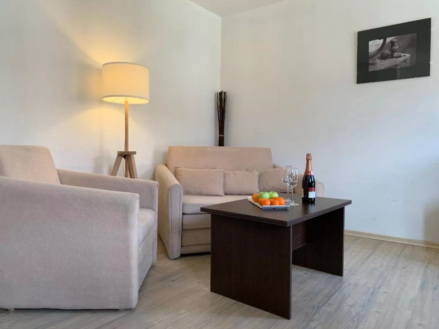 Living room, Seating Area in StayInn Banderitsa Apartments with kitchen & BBQ