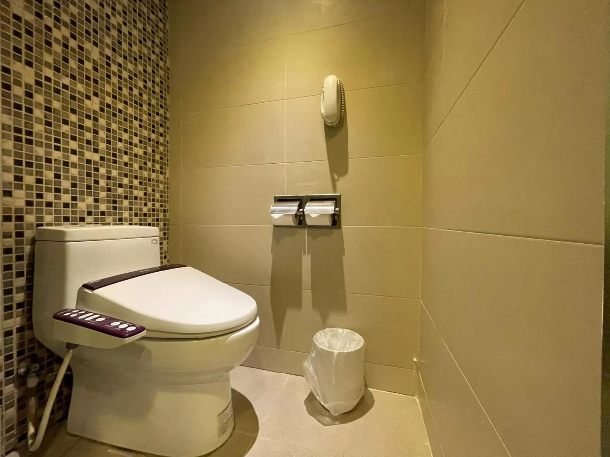 Toilet in Guide Hotel Hsinchu Zhongyang