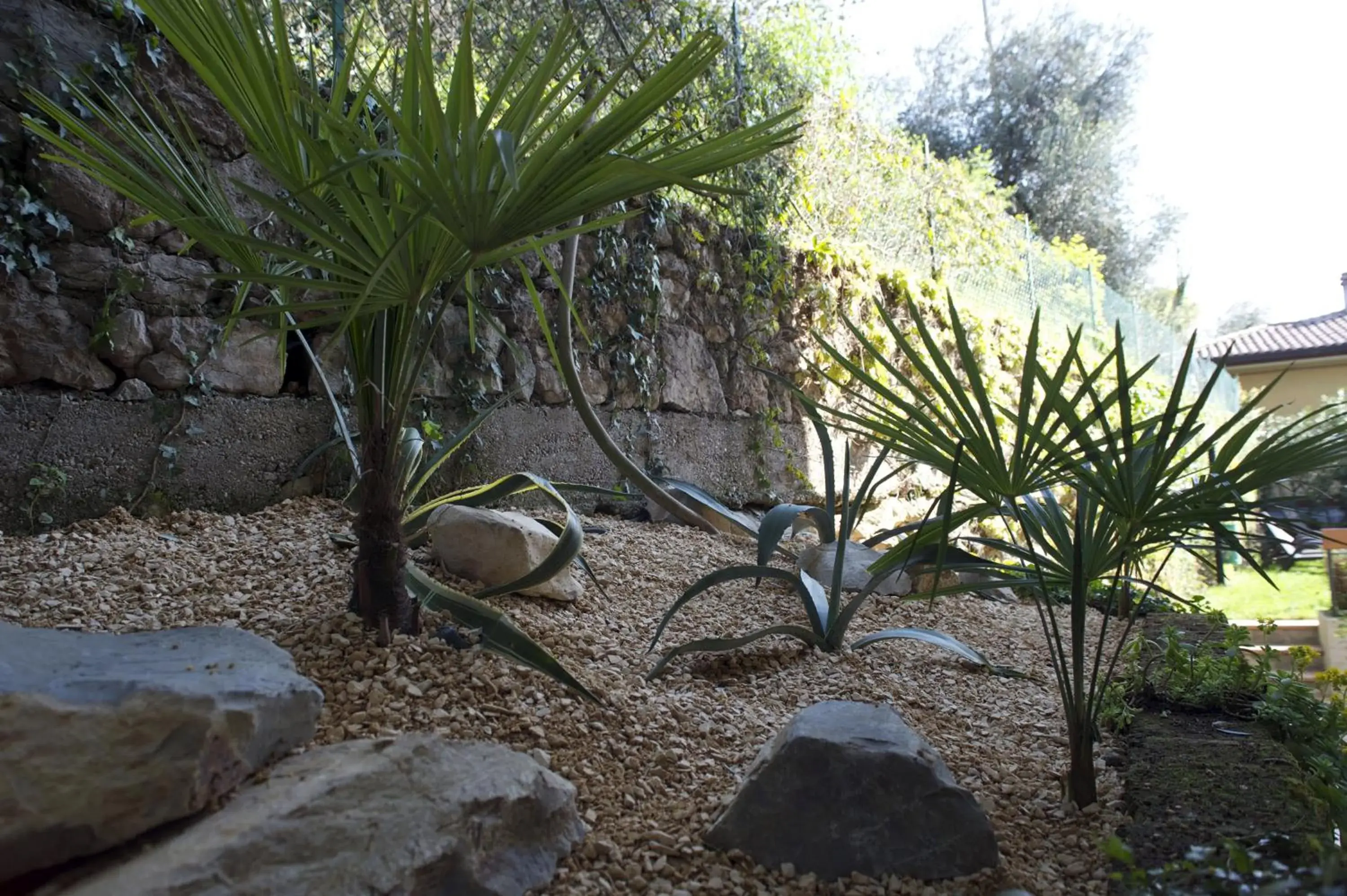 Garden, Other Animals in Albergo Villa Edera