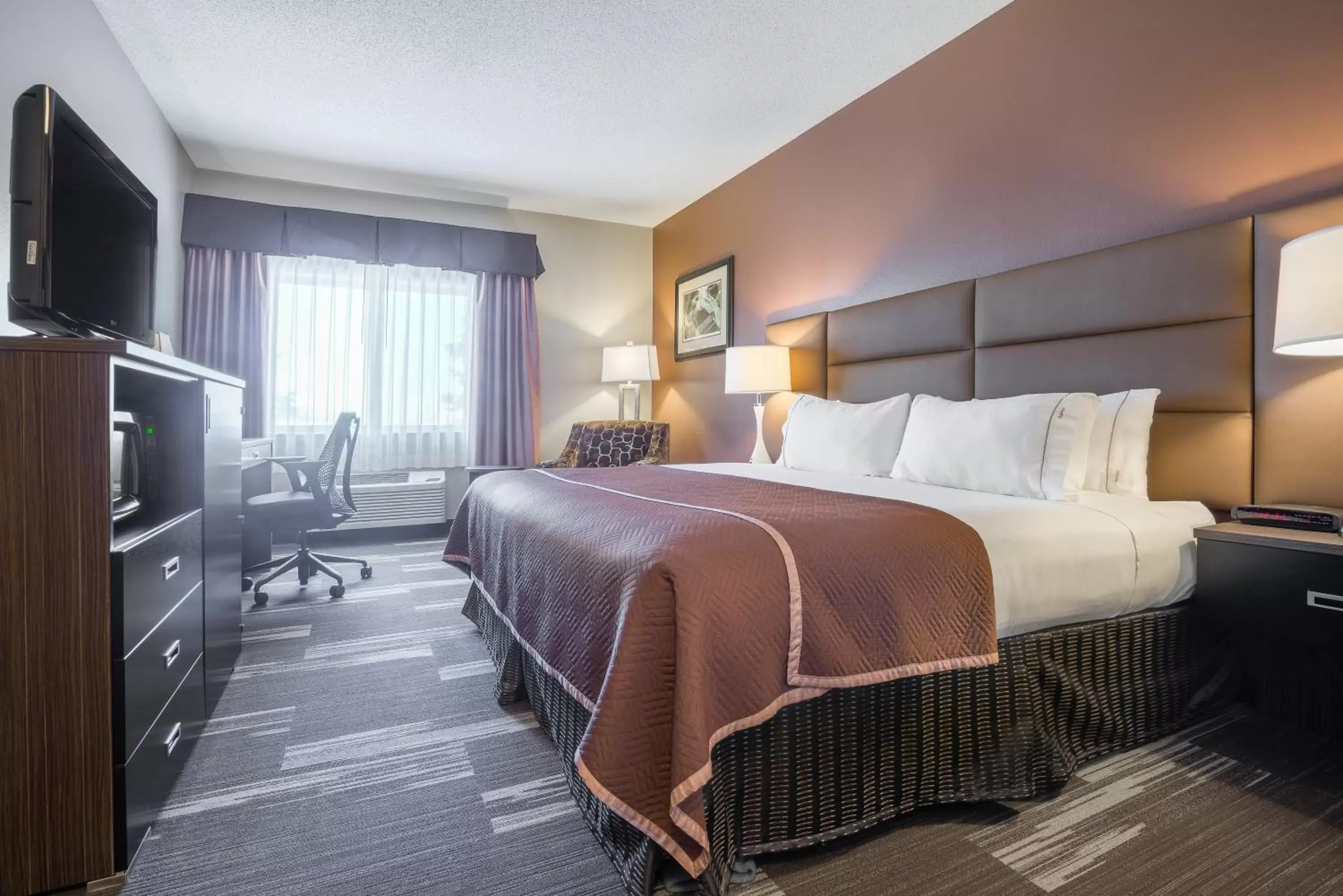 Photo of the whole room, Bed in Holiday Inn Express Hotel & Suites St. Paul - Woodbury, an IHG Hotel