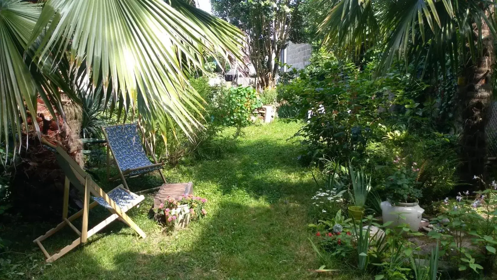 Garden in La maison botanique