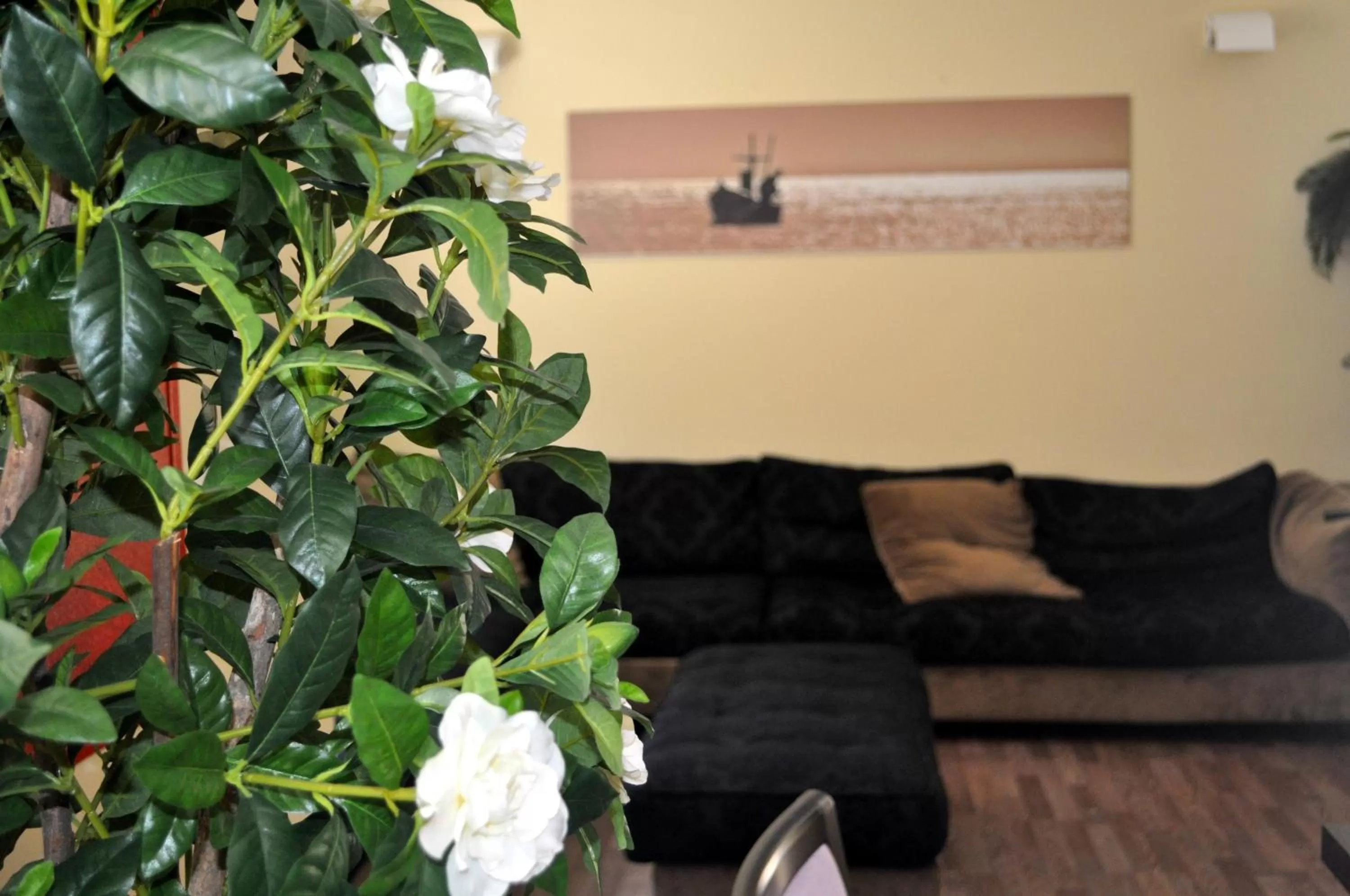 Lobby or reception in Hotel Miramare