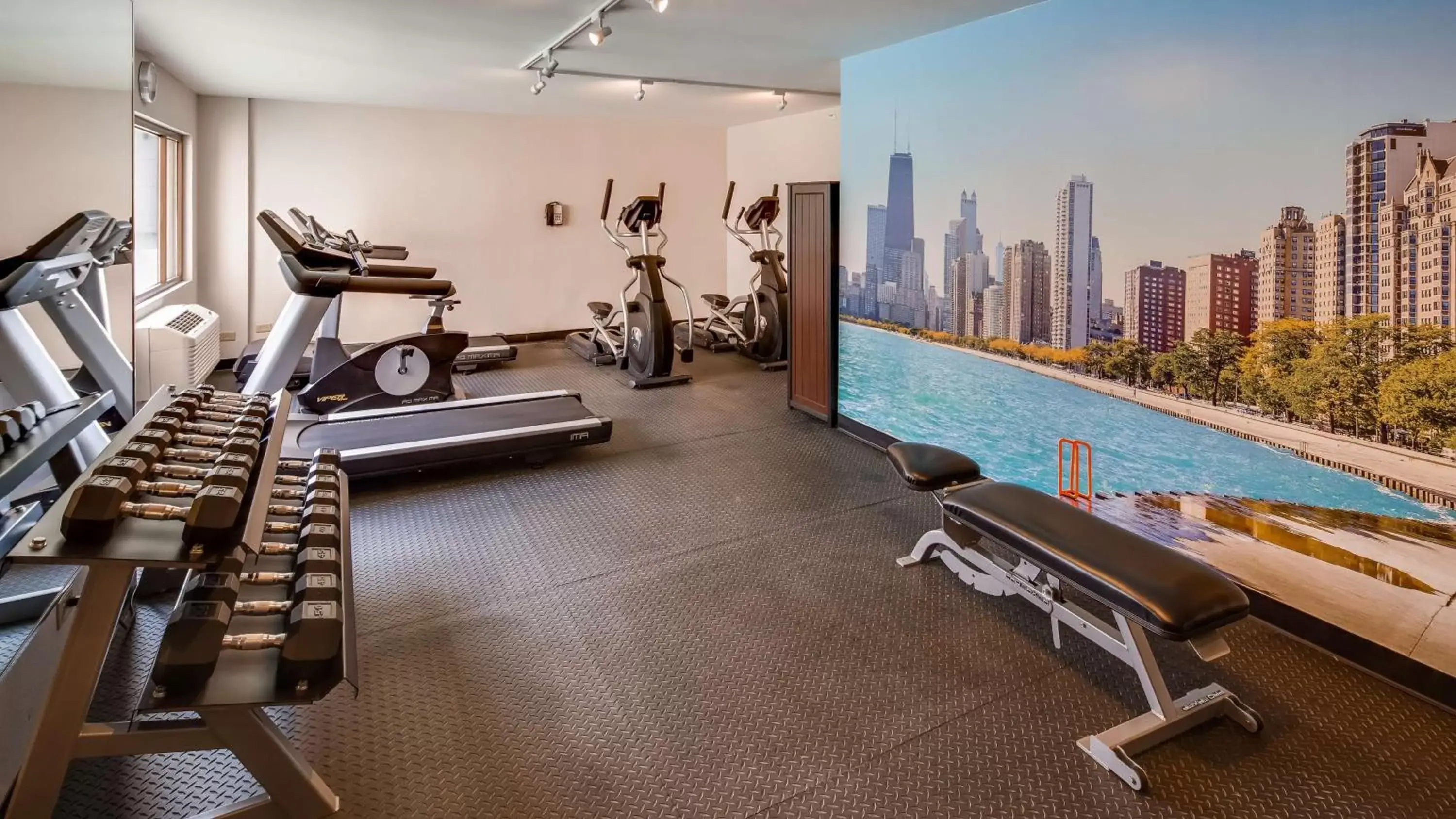 Fitness centre/facilities, Fitness Center/Facilities in Best Western Plus Hyde Park Chicago Hotel