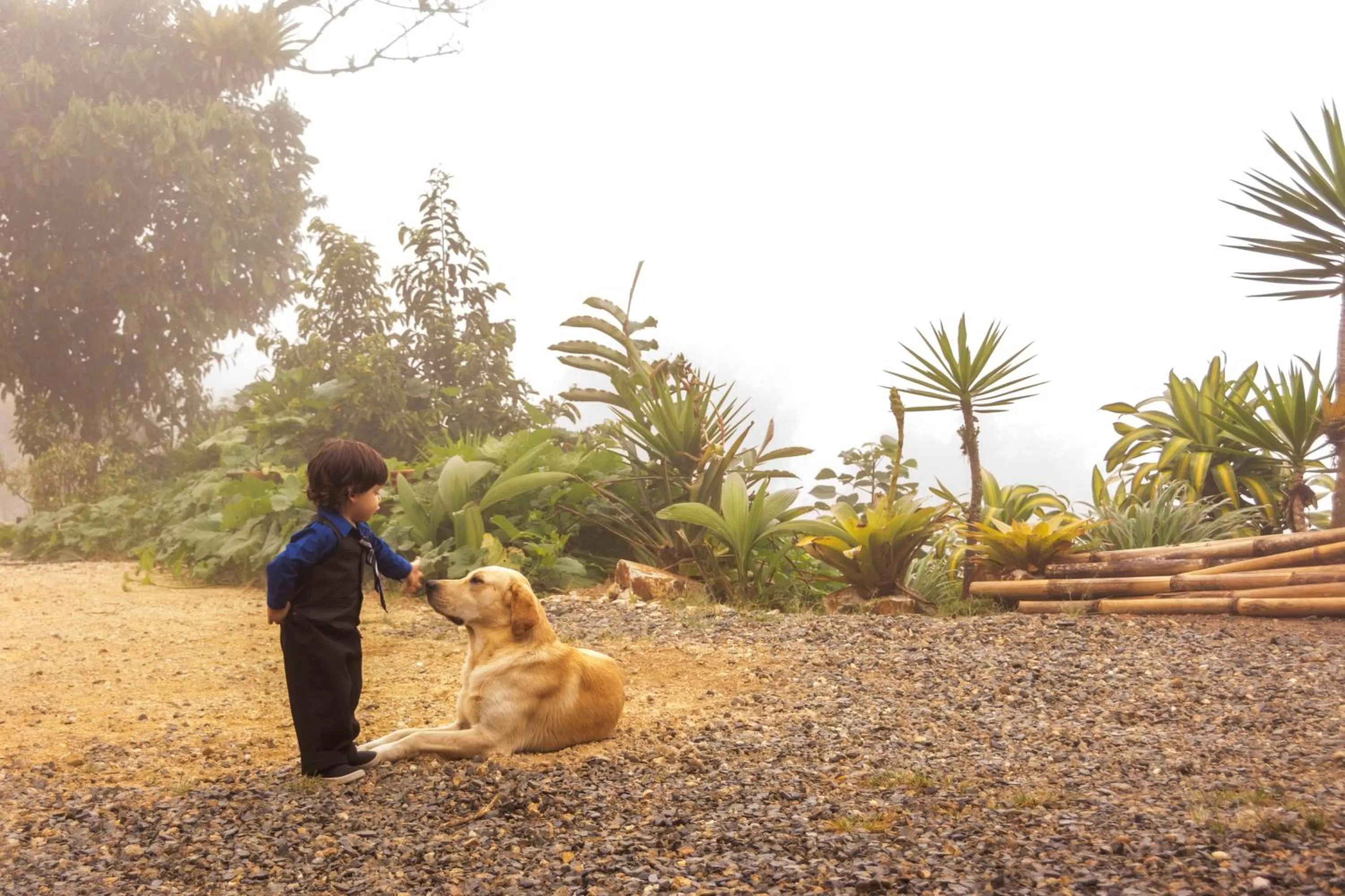Garden, Pets in Hosteria Florecer