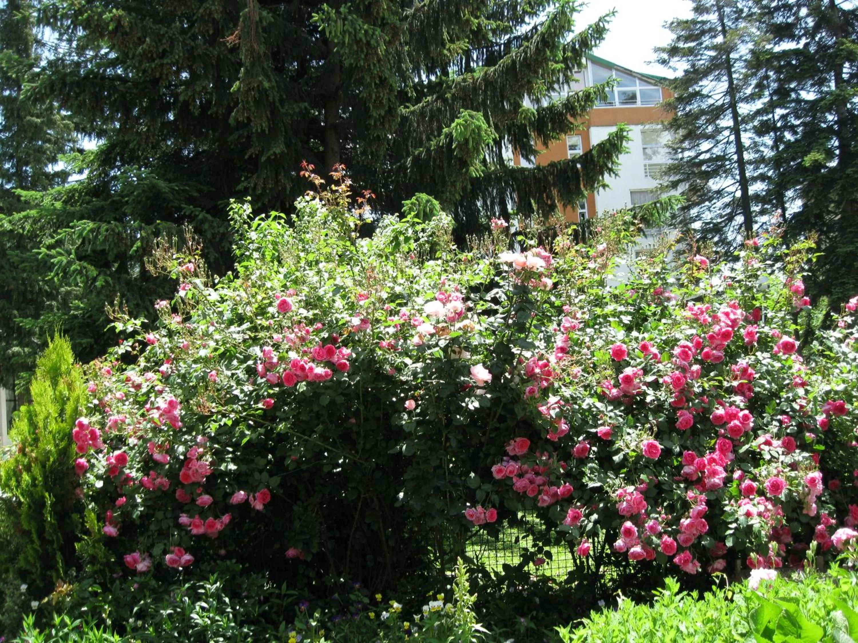 Natural landscape in Villa Jordan