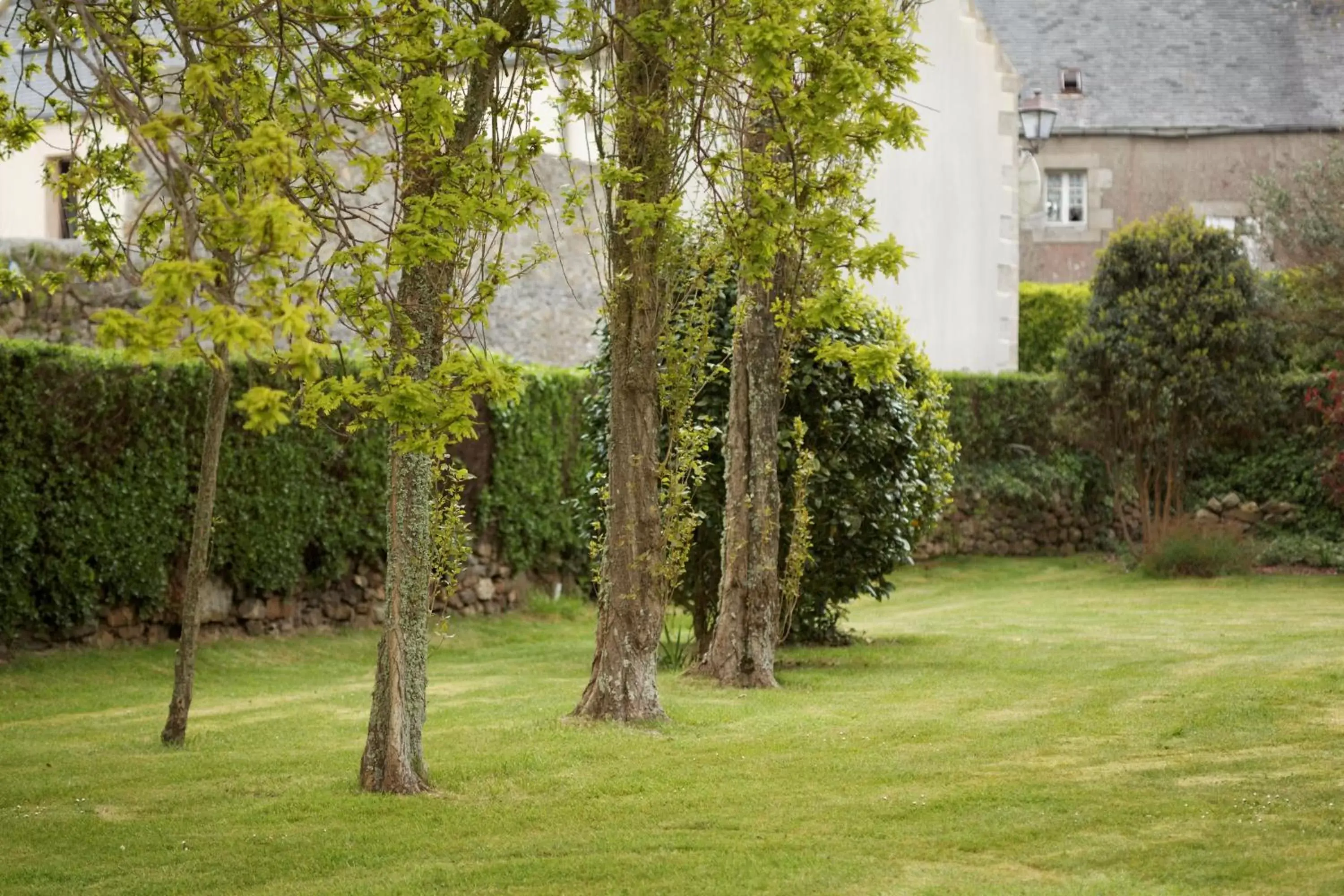 Garden in The Originals City, Hôtel Armen Le Triton, Roscoff (Inter-Hotel)