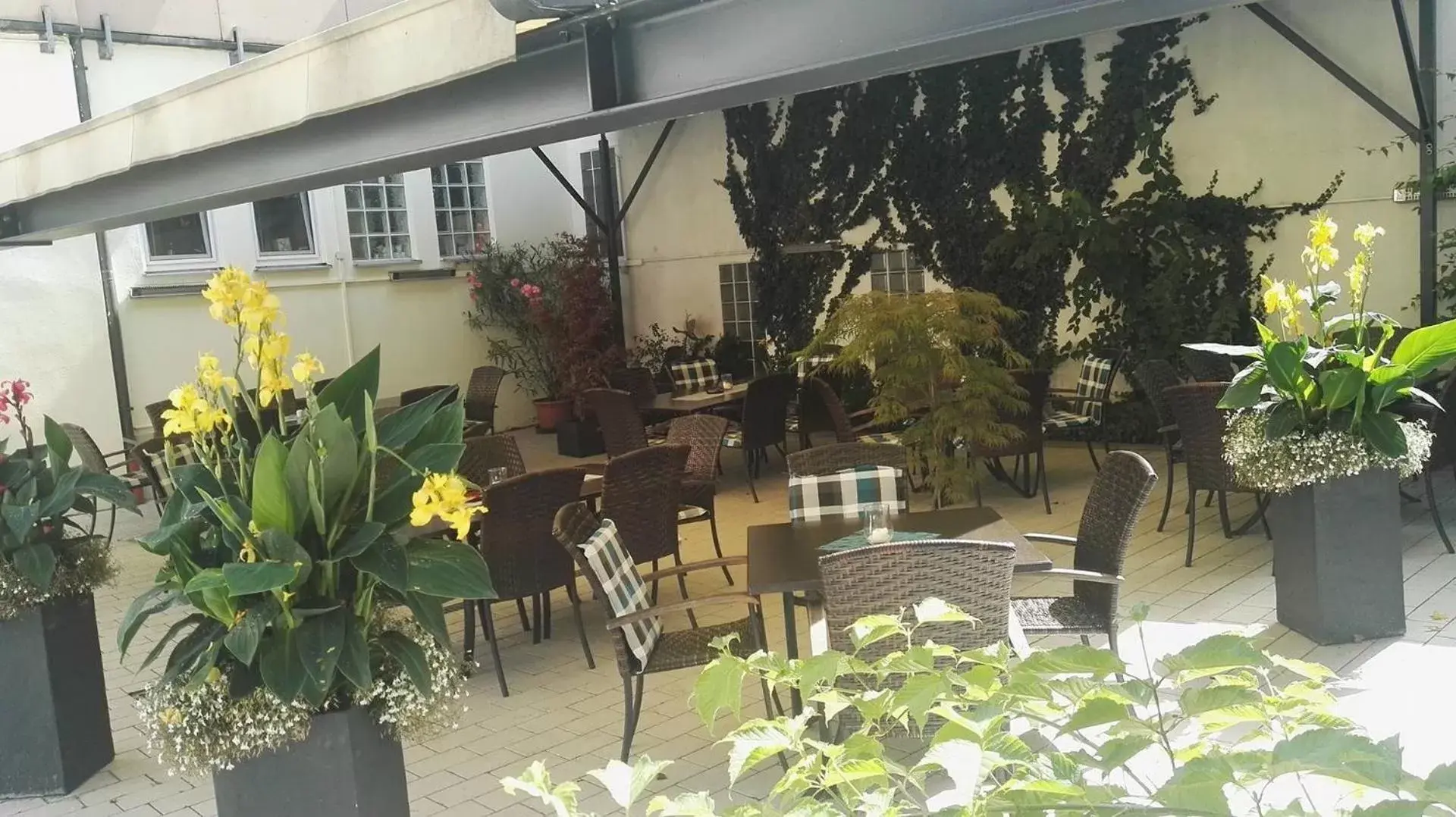 Hotel Grüner Baum Hotel Grüner Baum