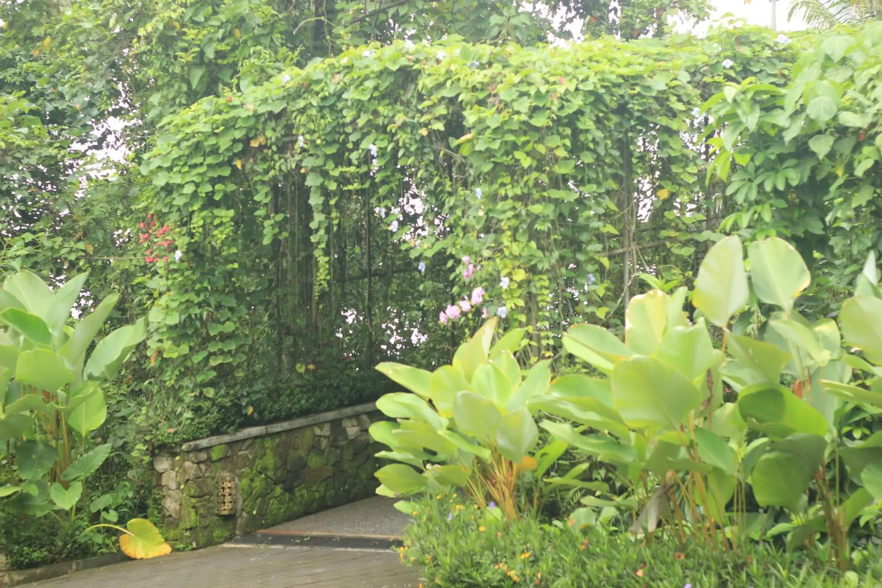 Garden in BeingSattvaa Luxury Ubud - CHSE Certified