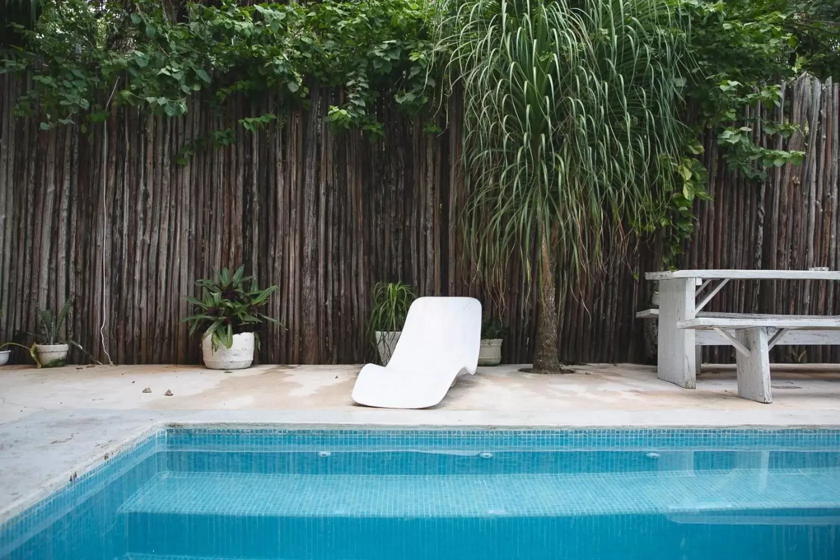 Swimming Pool in Residencia Gorila