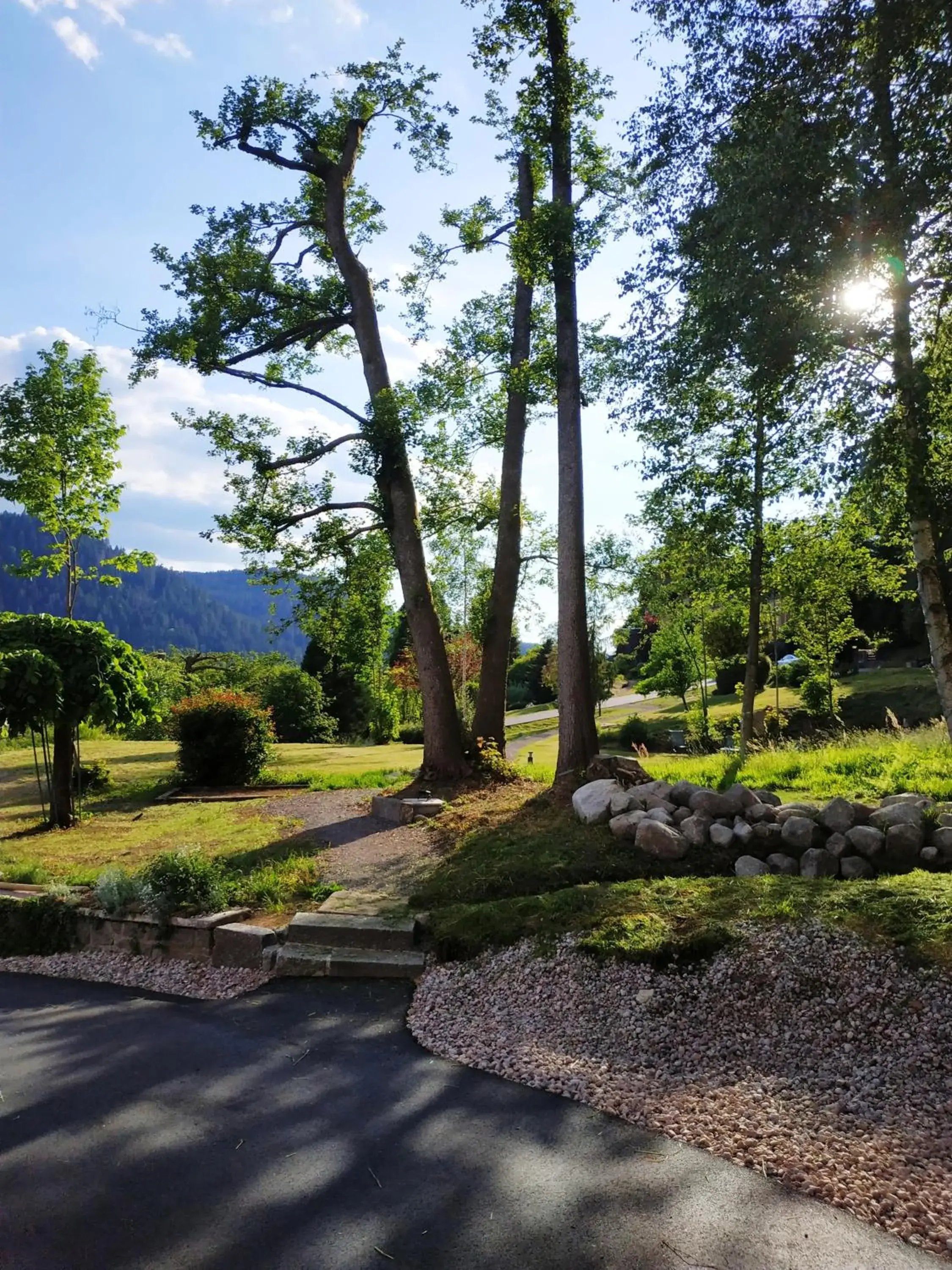 Natural landscape in Le Manoir Au Lac