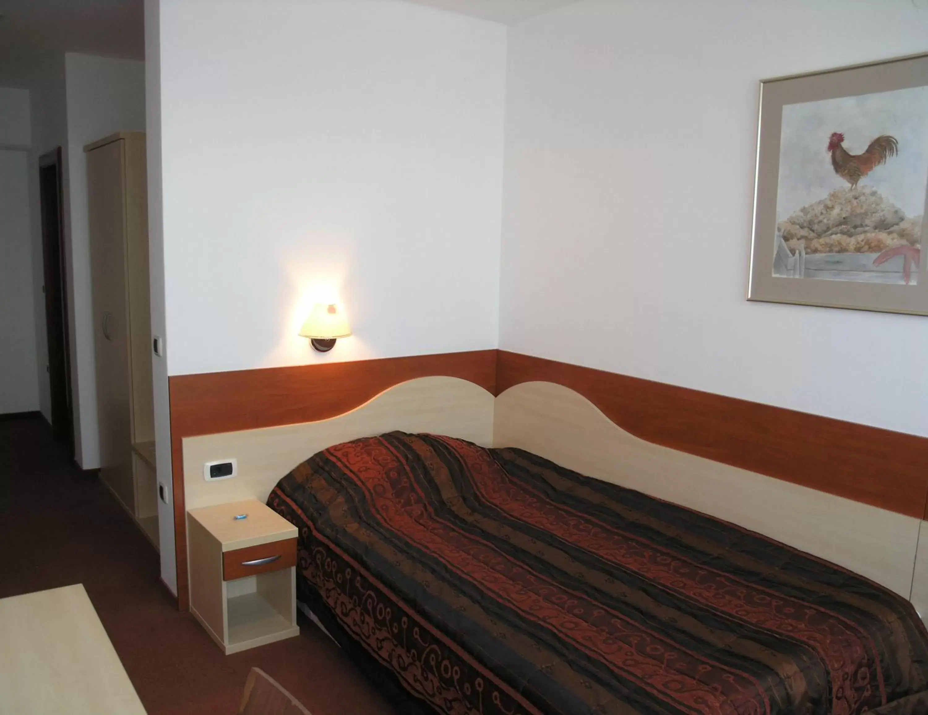 Single Room in Hotel Krek Superior