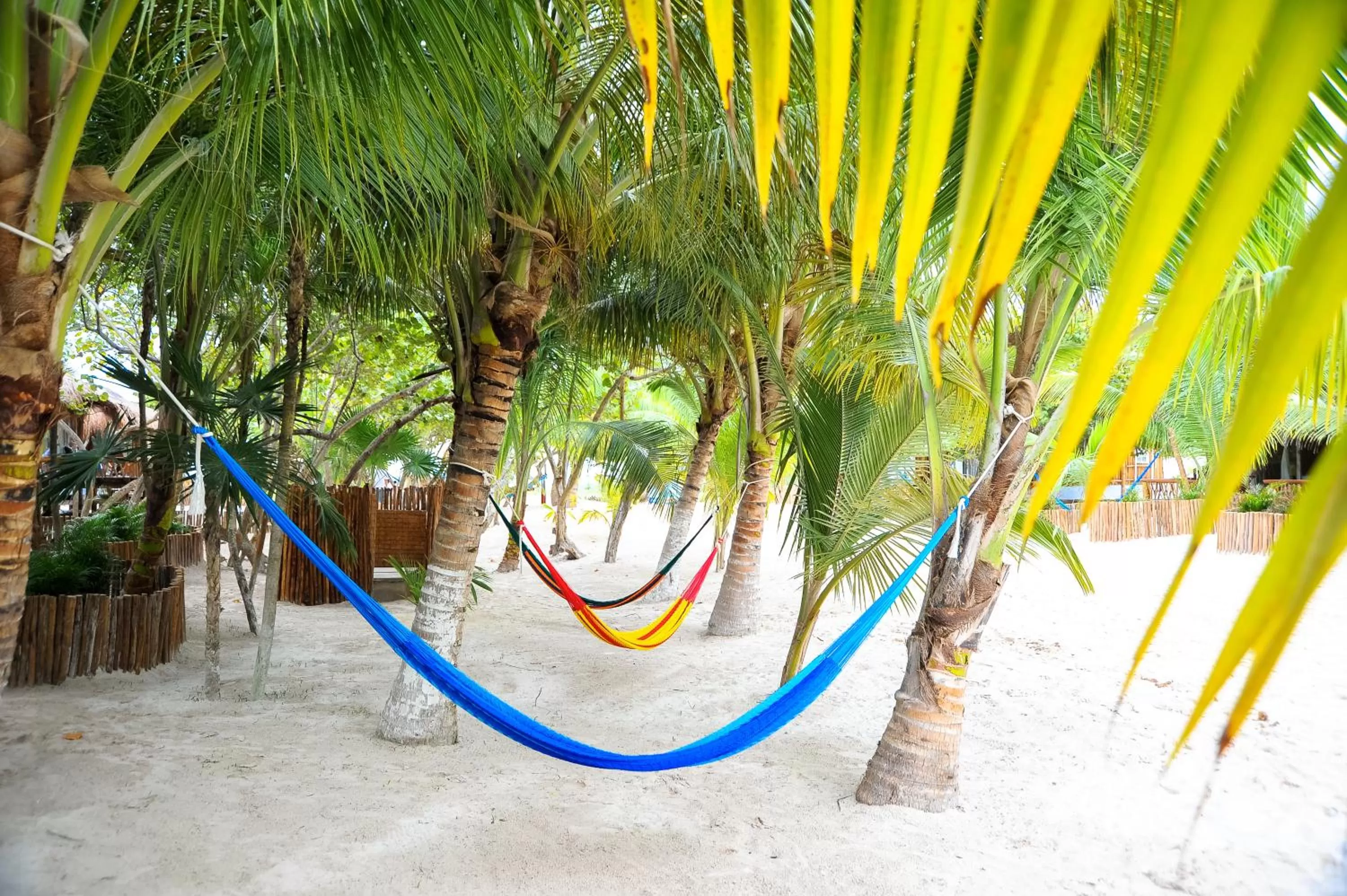 Decorative detail in Villa Pescadores Tulum-Beachfront hotel by Ahau Collection