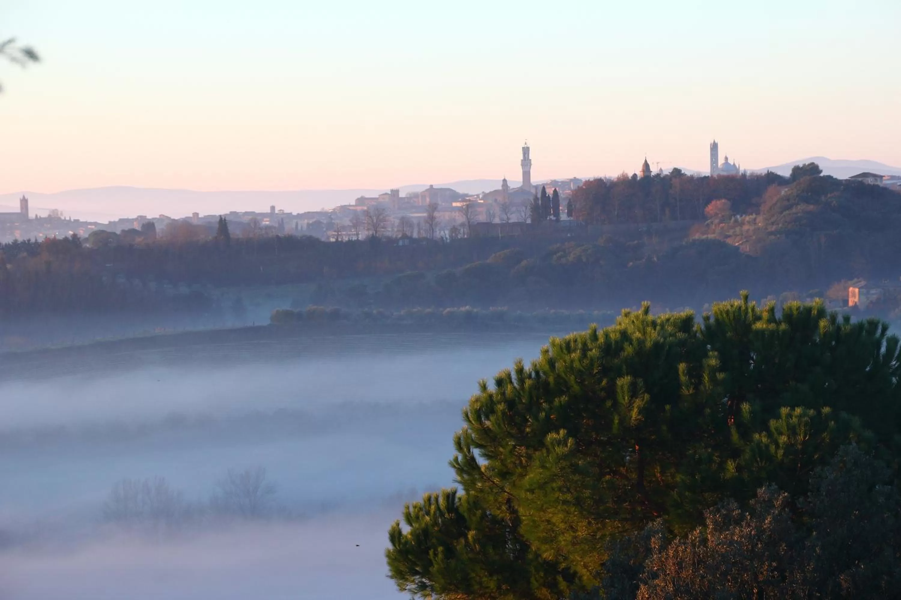 Summer in CasaLeTolfe Residence