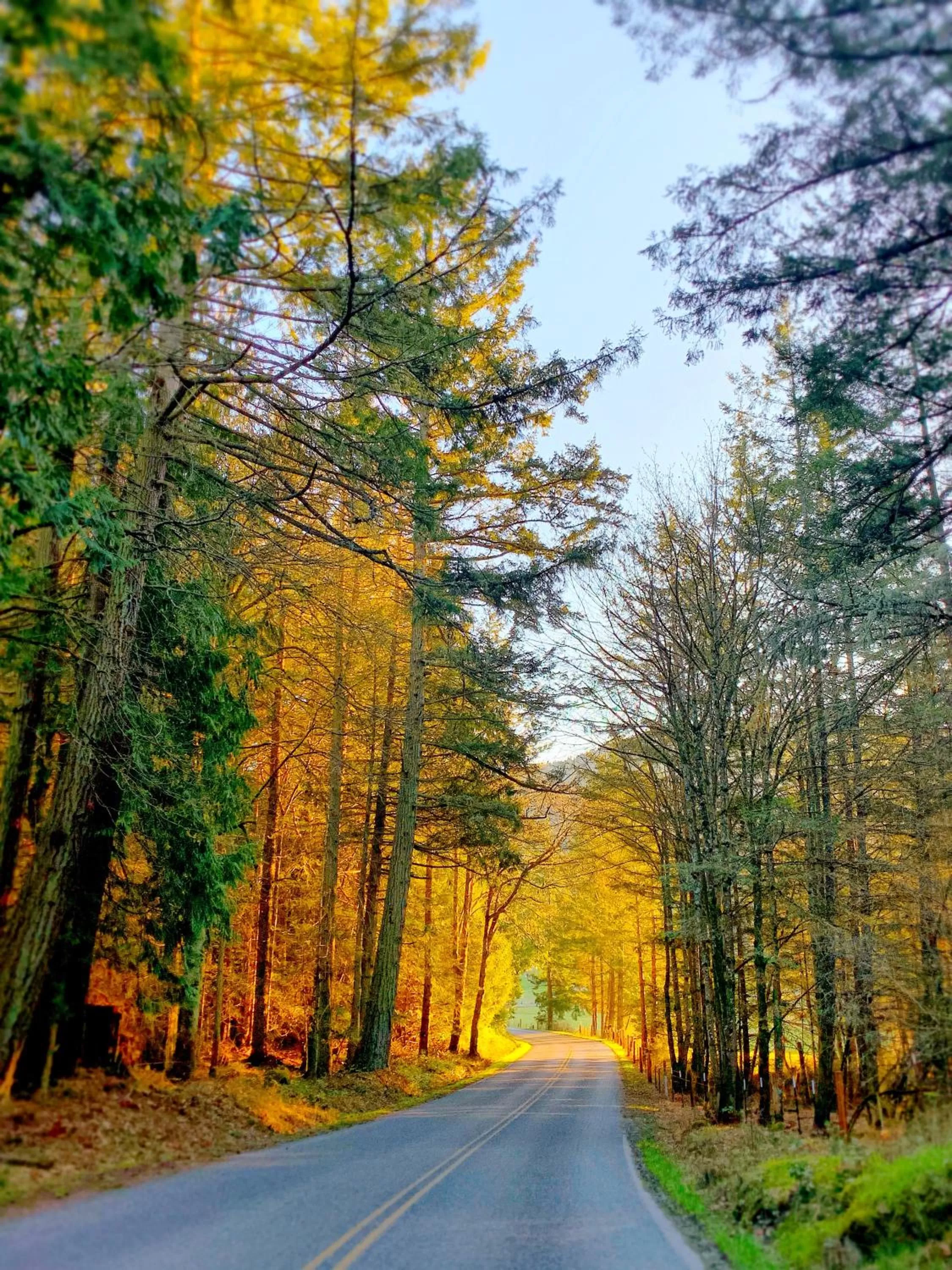 Natural landscape in Otter's Pond Bed and Breakfast