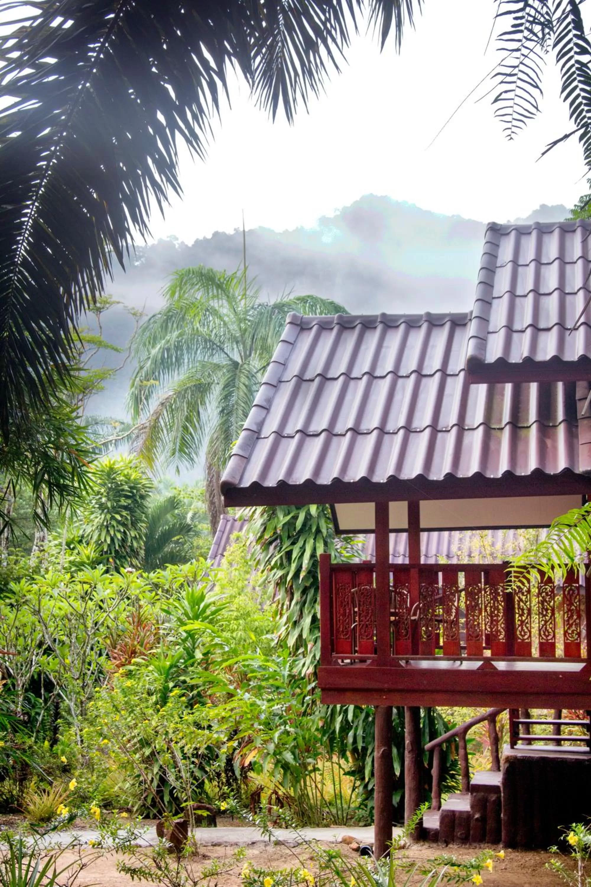 Patio in Khao Sok Palmview Resort