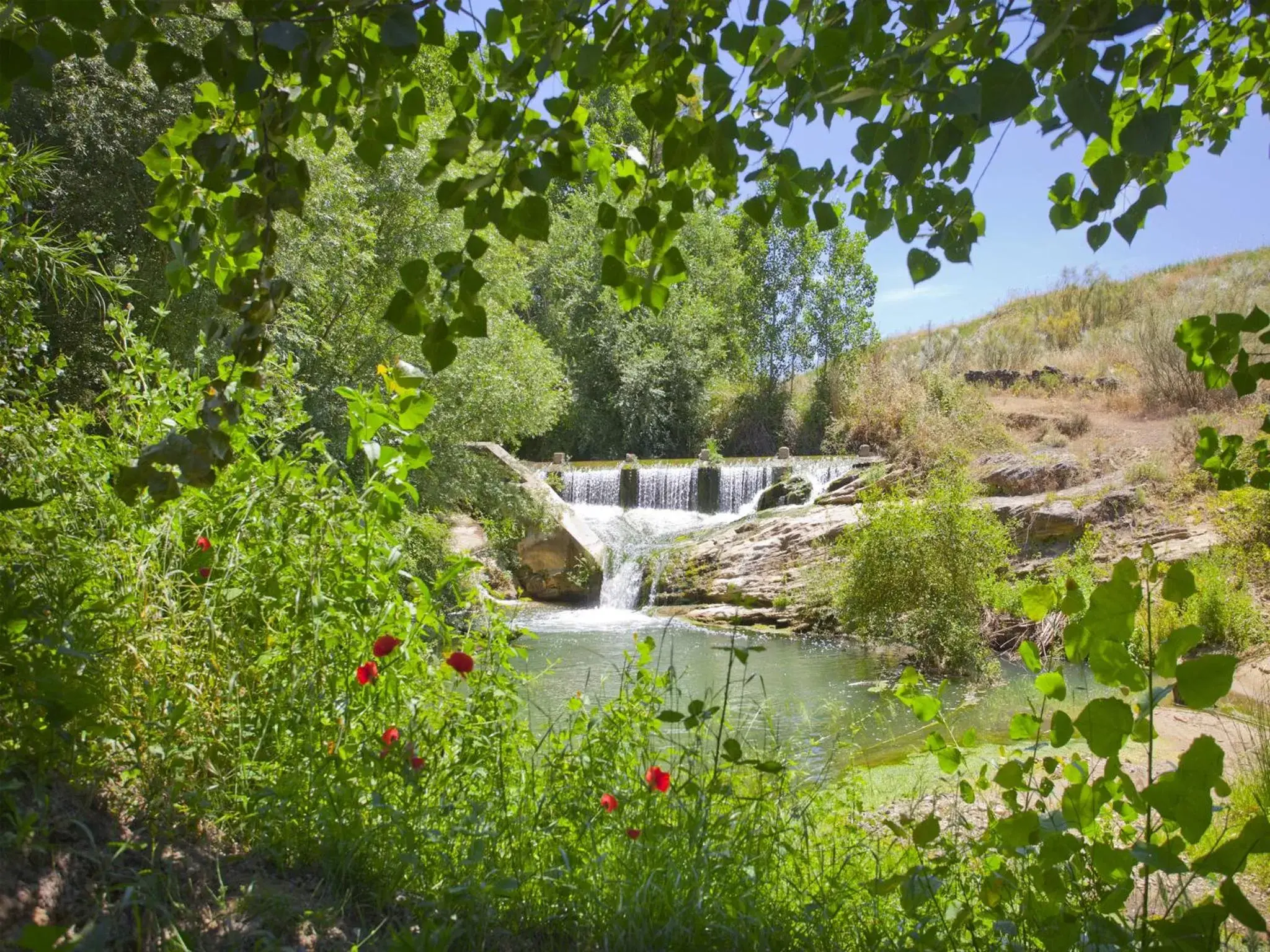 Day, Garden in Hotel Rural Molino del Puente Ronda